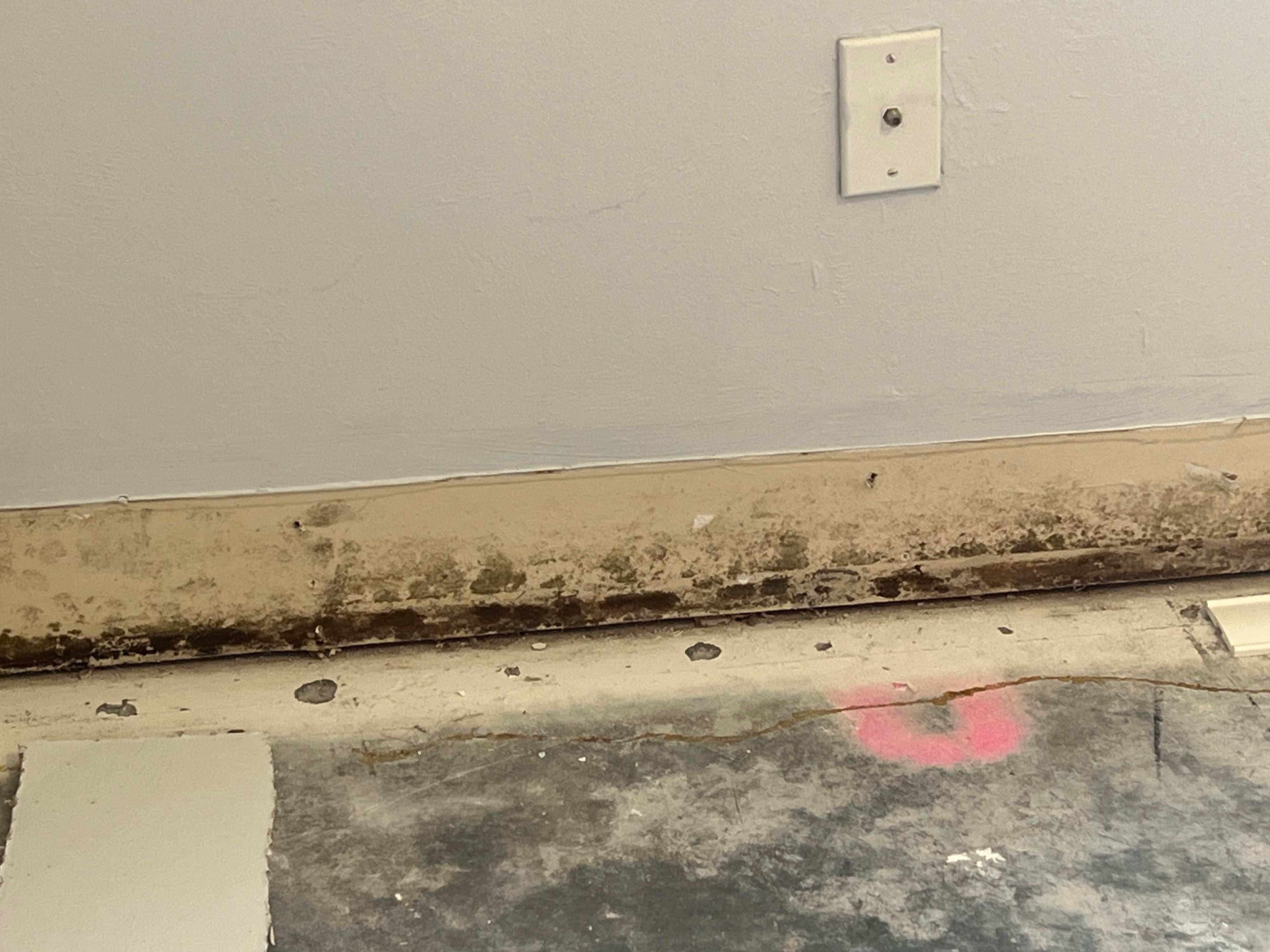  for N&D Restoration Services When Disaster Strikes, We Come In in Cape Coral,  FL