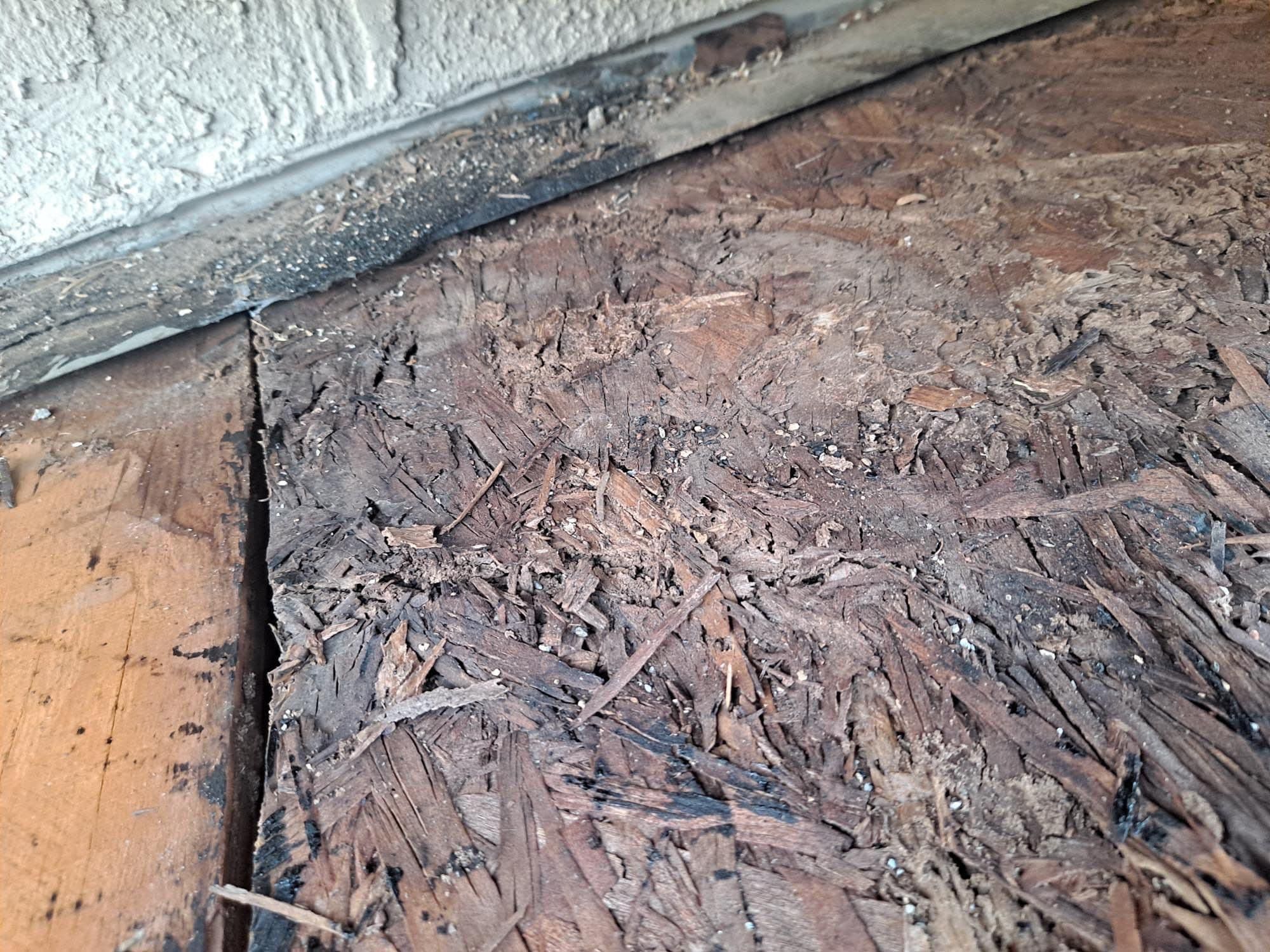  for Alpha Roofing LLC  in Tucson,  AZ