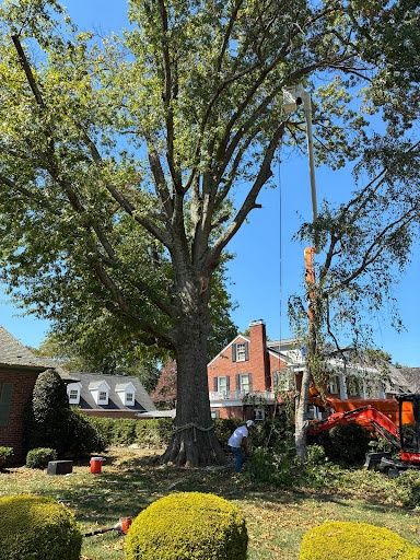  for Brocks Tree Service LLC in Rogersville, TN