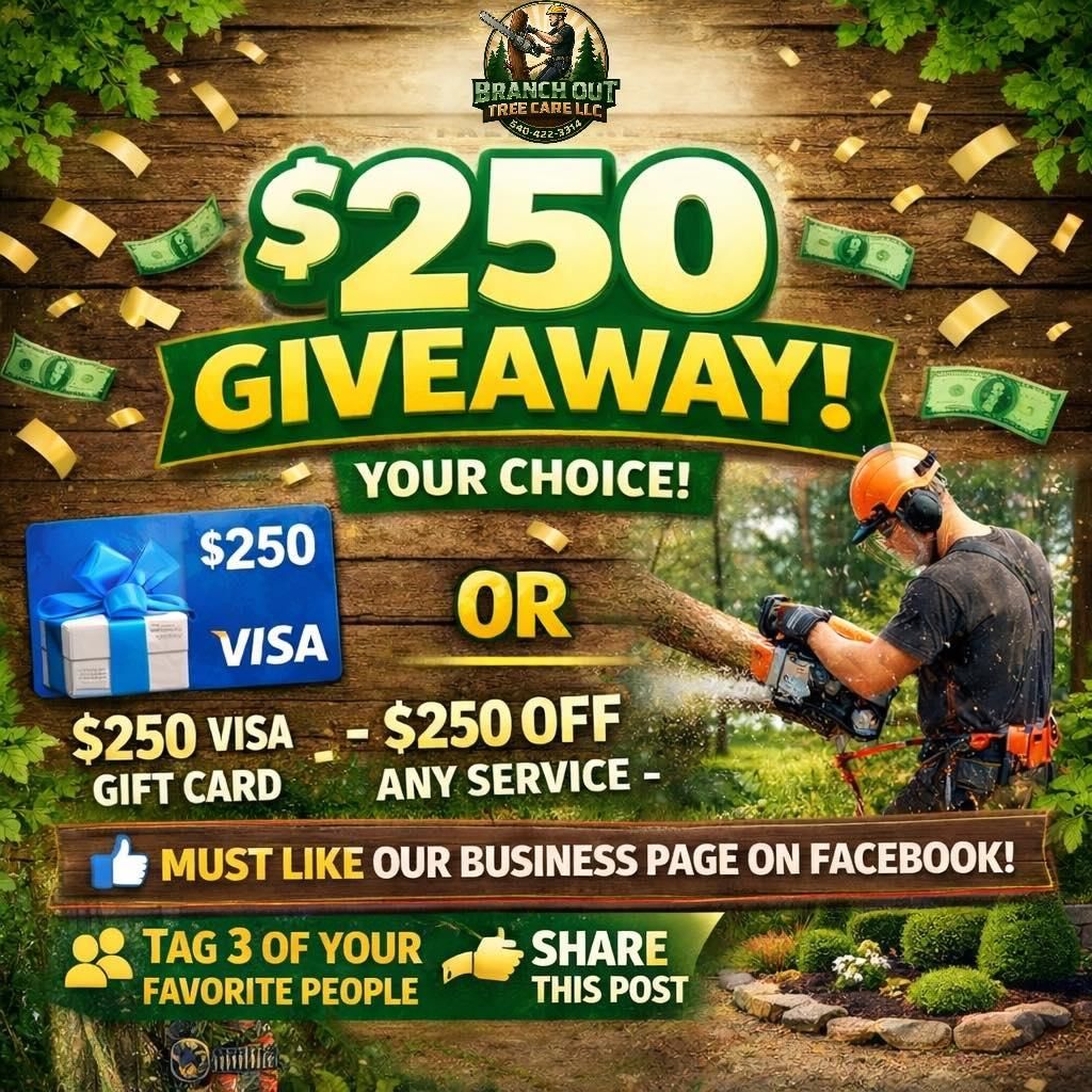  for Branch Out Tree Care LLC in Fredericksburg, VA