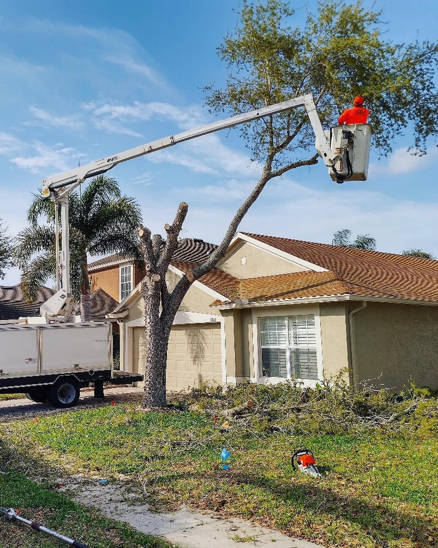  for EB Trees and Landscape in Holiday, FL