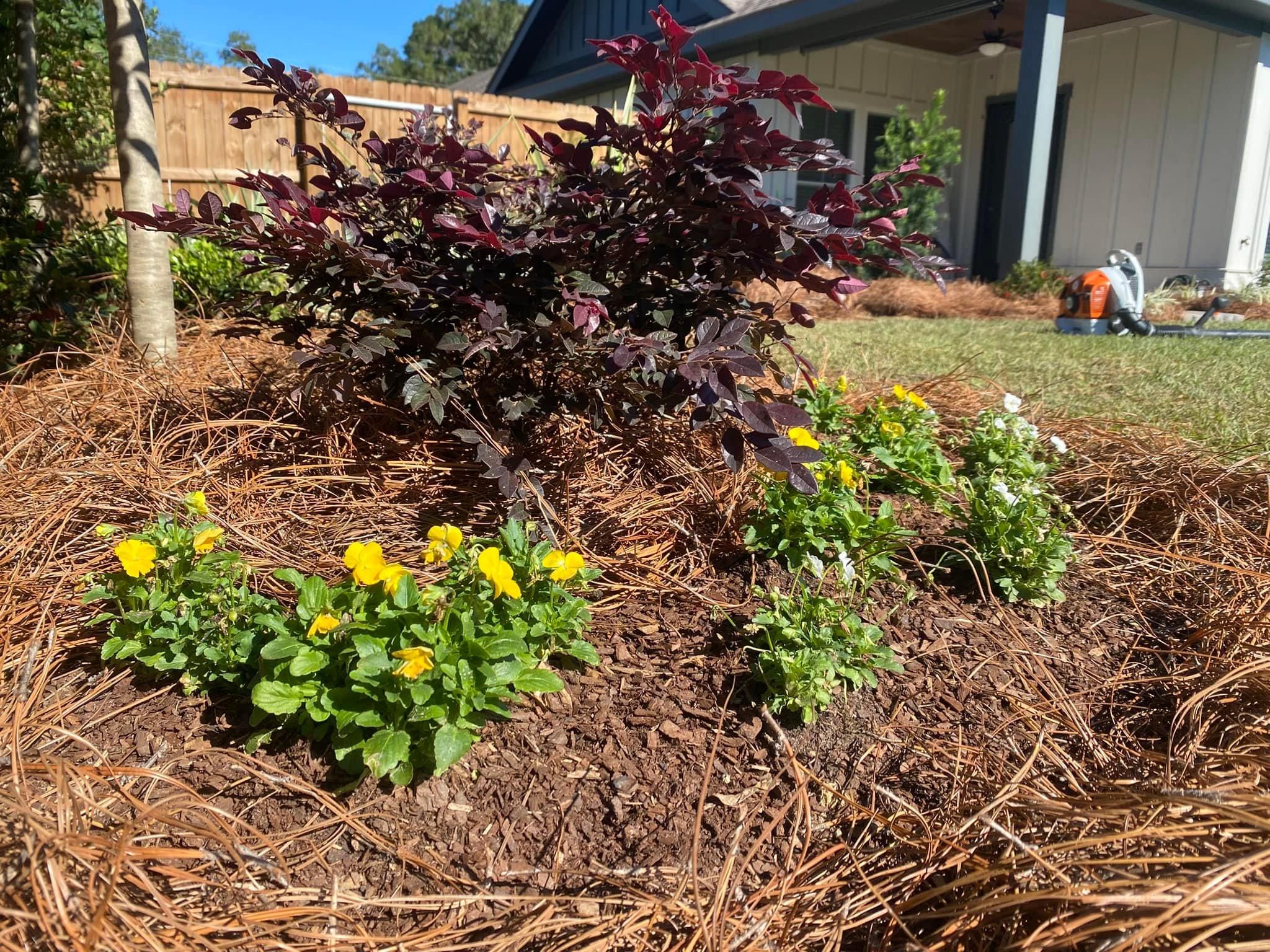  for Grasshopper's Lawn and Landscape in Fairhope, AL