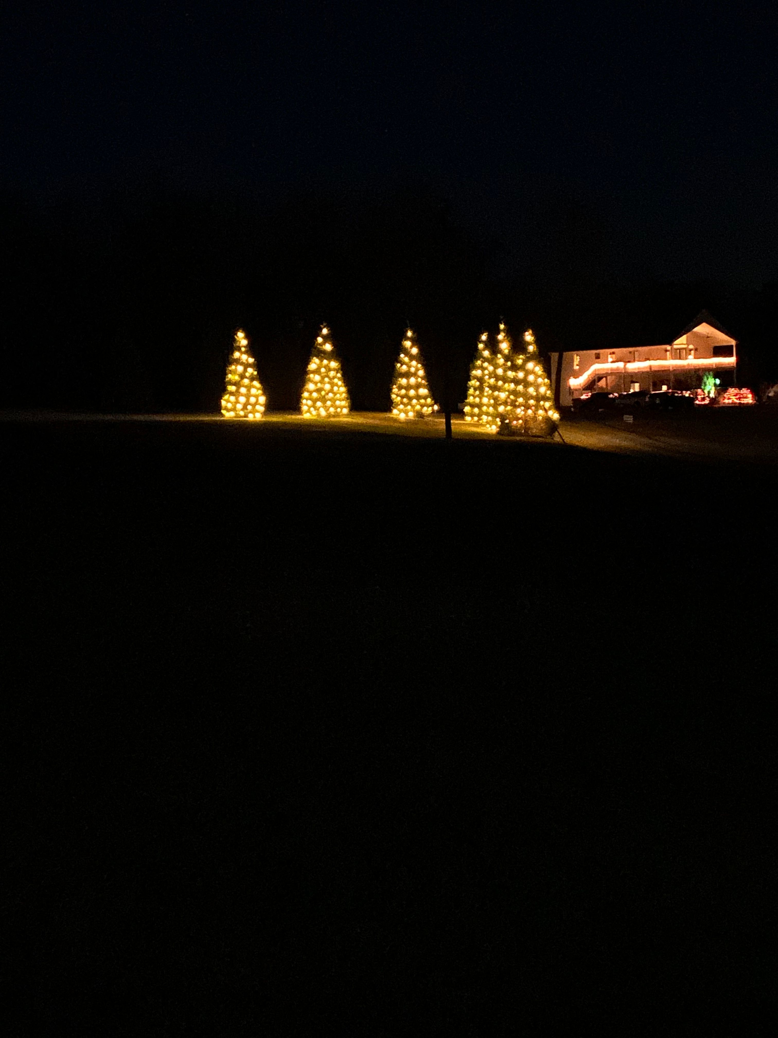  for Elite Lighting Solution in Midlothian, VA