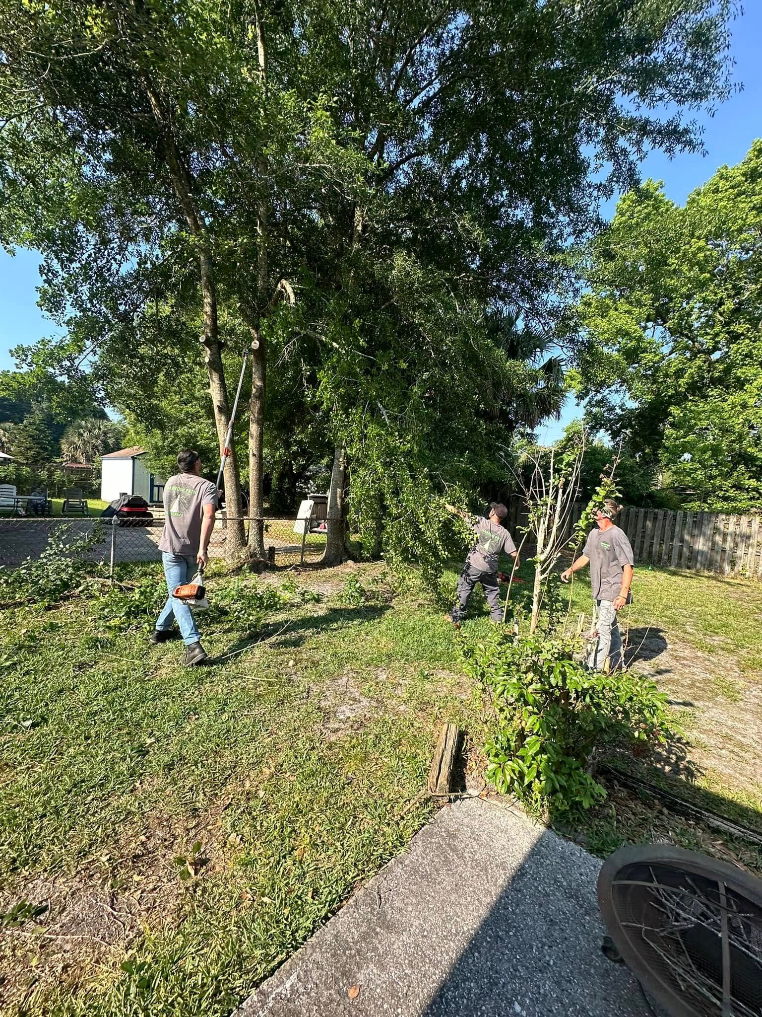 for Narrow Path Tree Service in Deland, FL