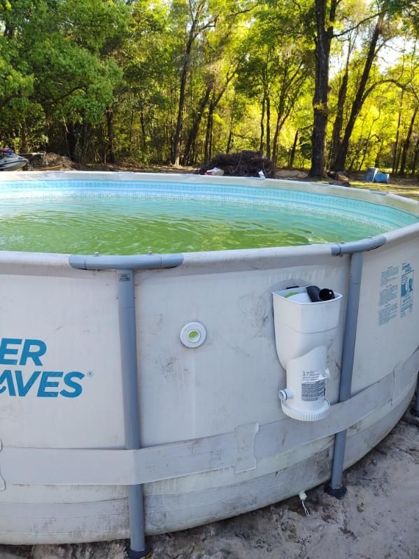  for Down & Dirty Pool Service in Crawfordville, FL