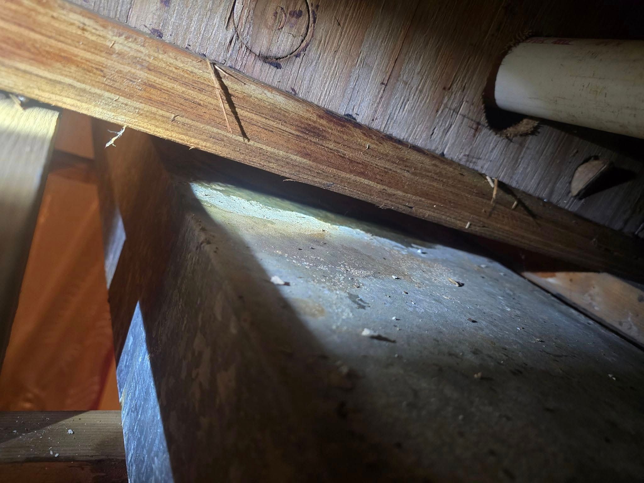  for Donovan & Sons in Fredericksburg, VA