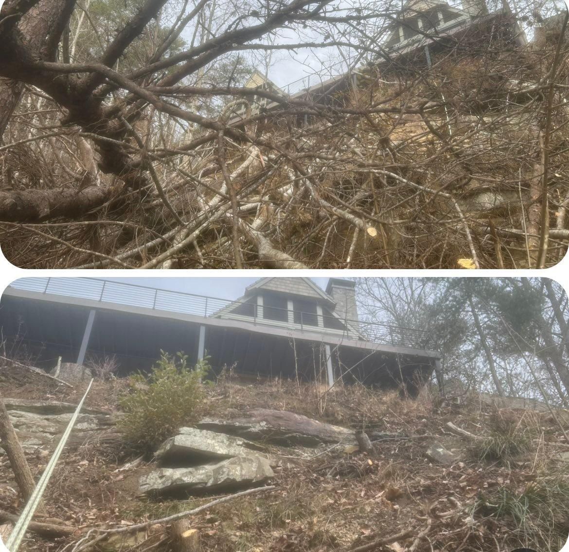  for McBee’s Tree Service in Sewanee, TN