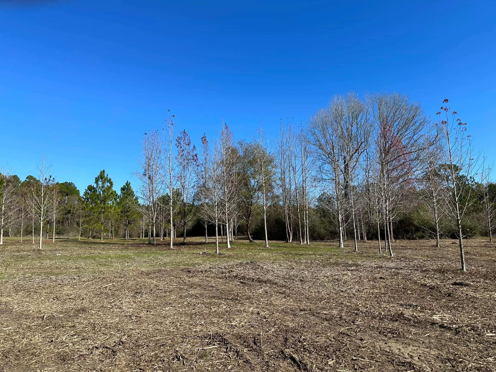 All Photos for White’s Land Maintenance in Milton,, FL