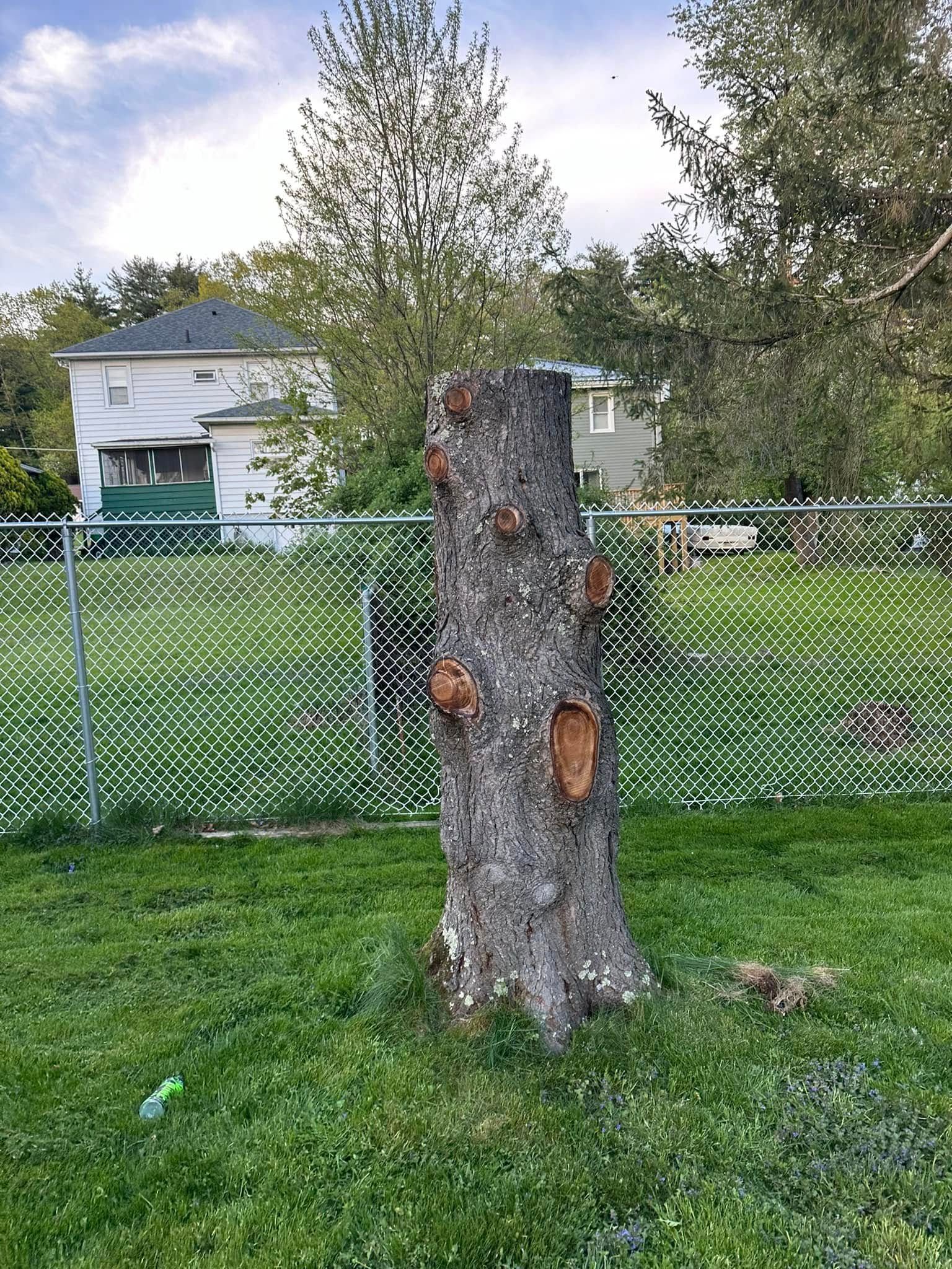  for All American Tree Services LLC in Dallas, PA