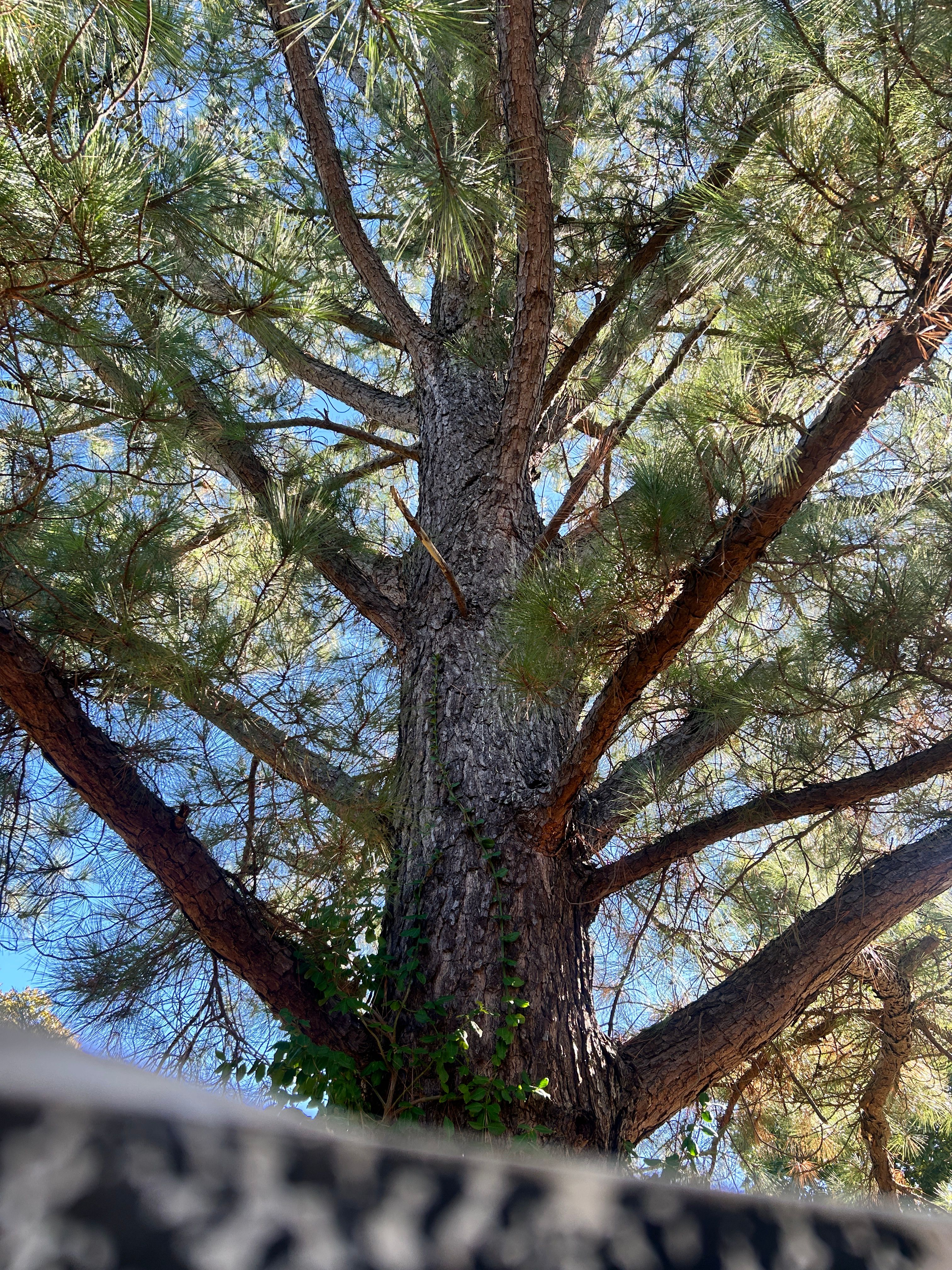  for Terra Steel Creations in Independence, KY