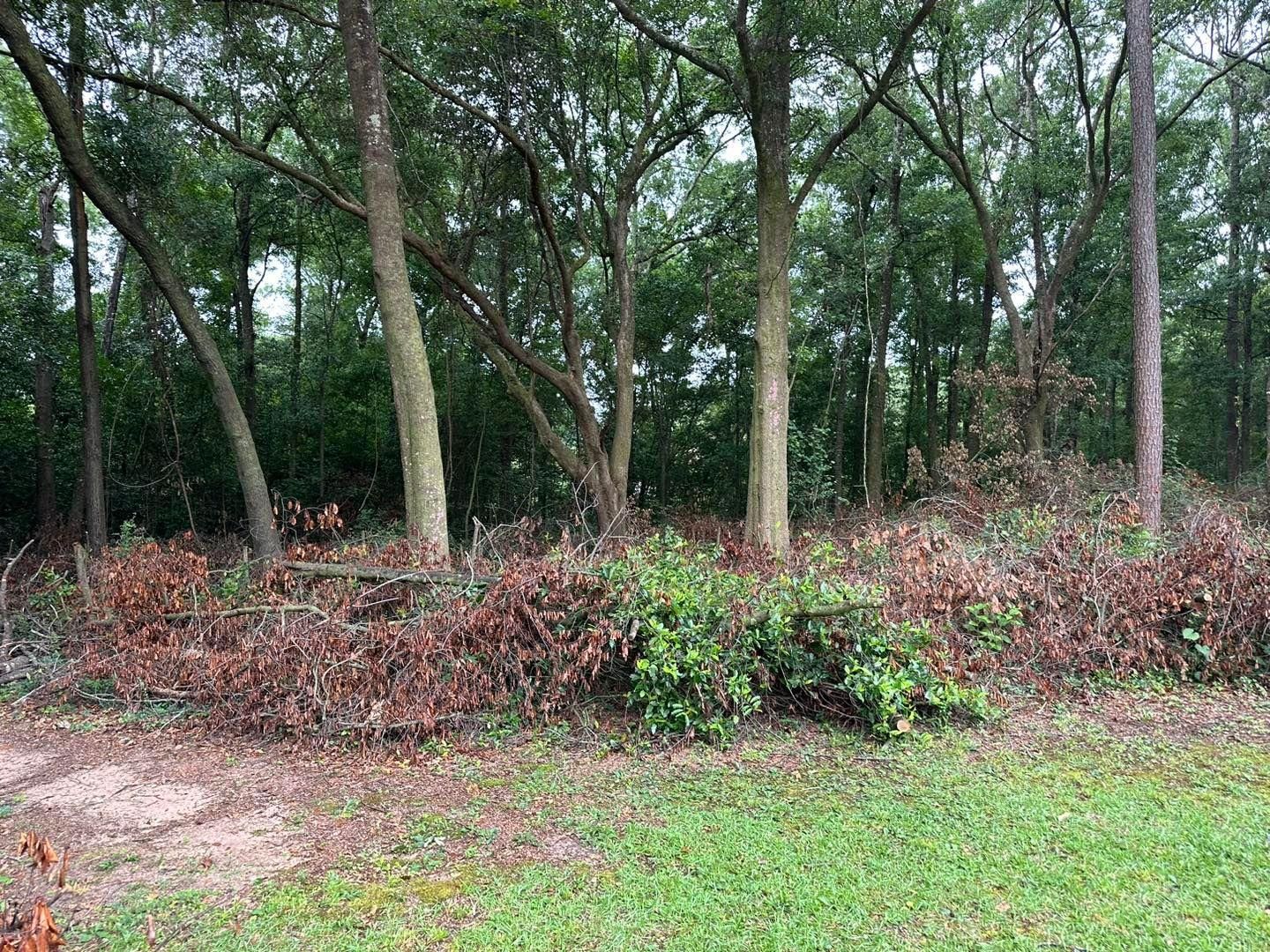 All Photos for White’s Land Maintenance in Milton,, FL