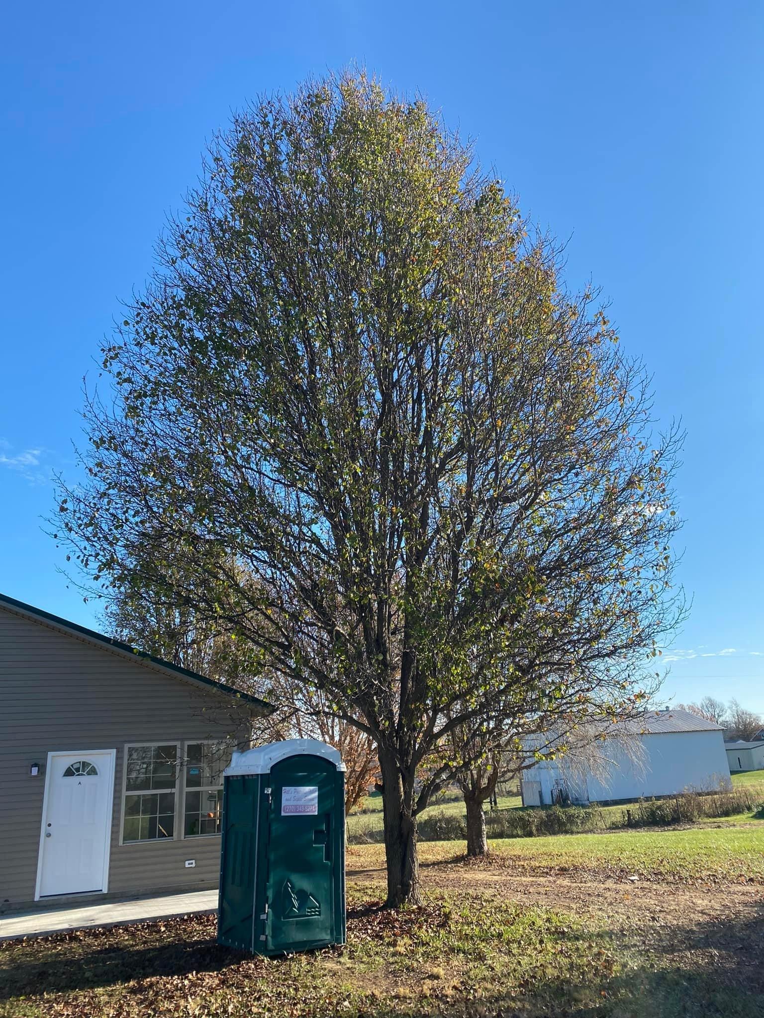 Fall and Spring Clean Up for Atwood’s Tree Care in Liberty,  KY