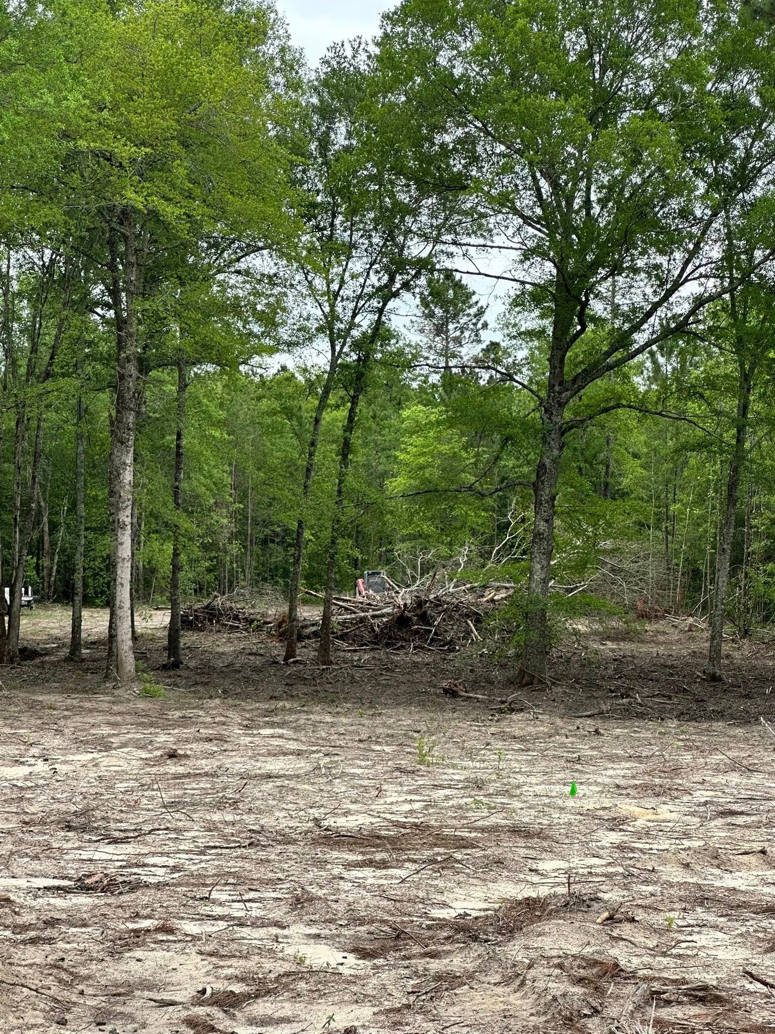 Tree Removal for Page Outdoor Services in Wrightsville, GA