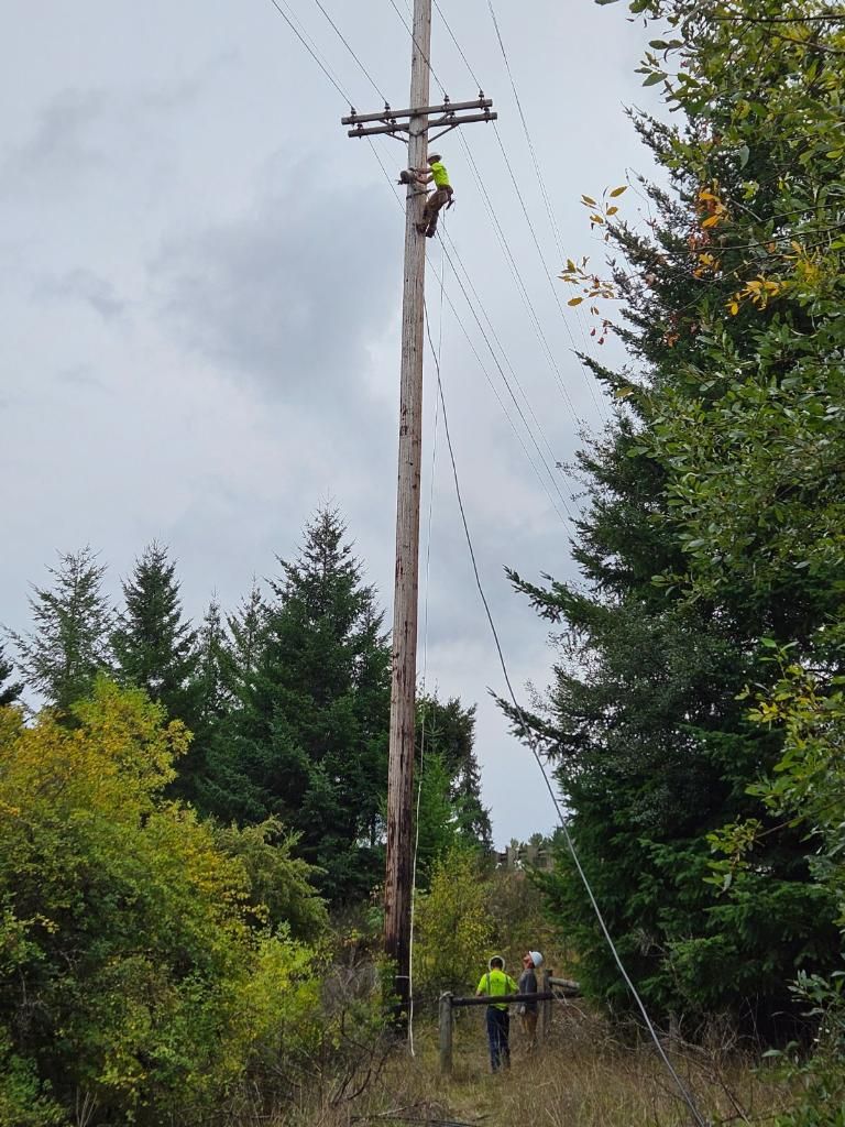  for Hammons Construction LLC in Eugene, OR