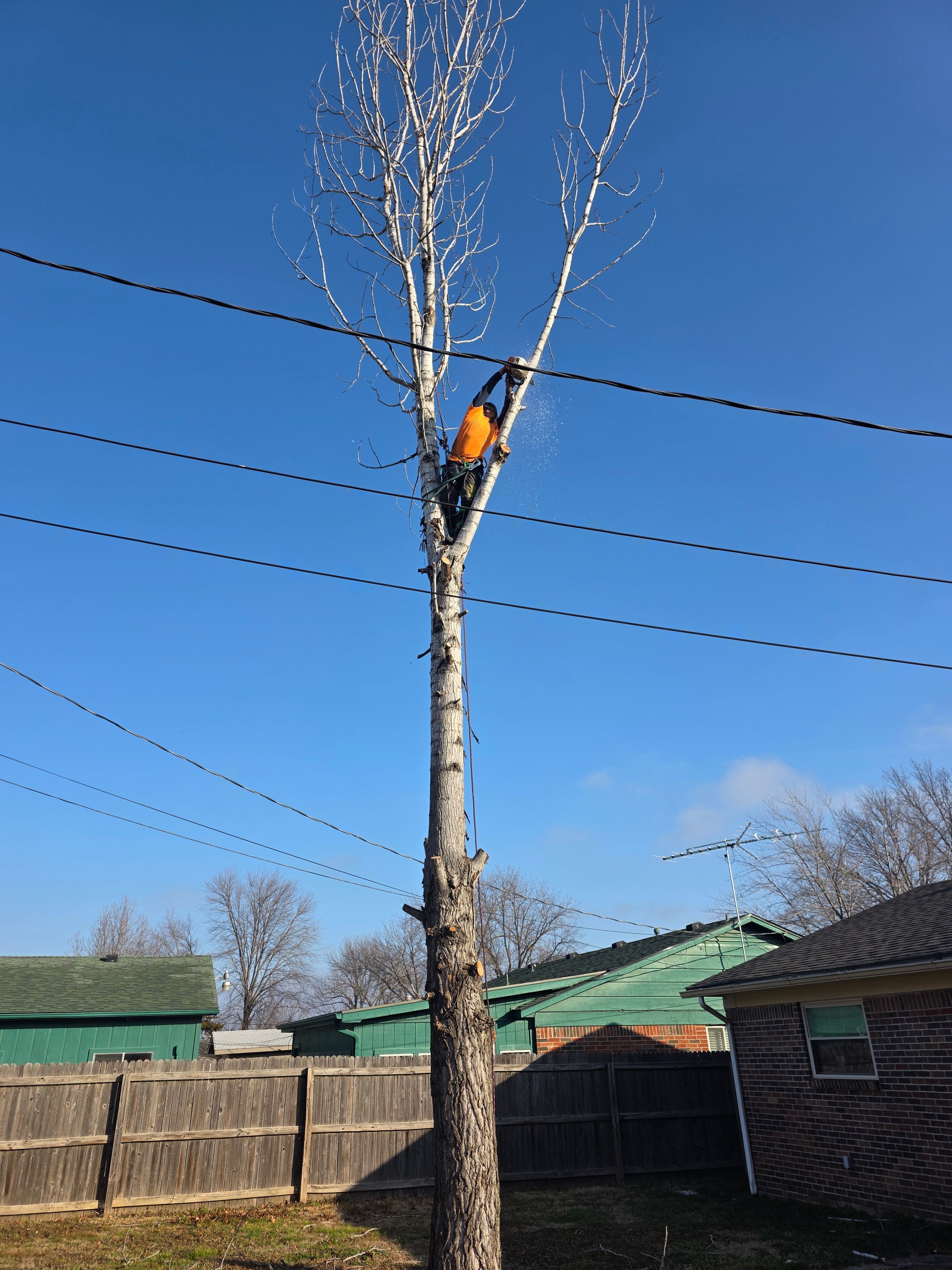  for Oklahoma Tree Guy in Bartlesville, OK