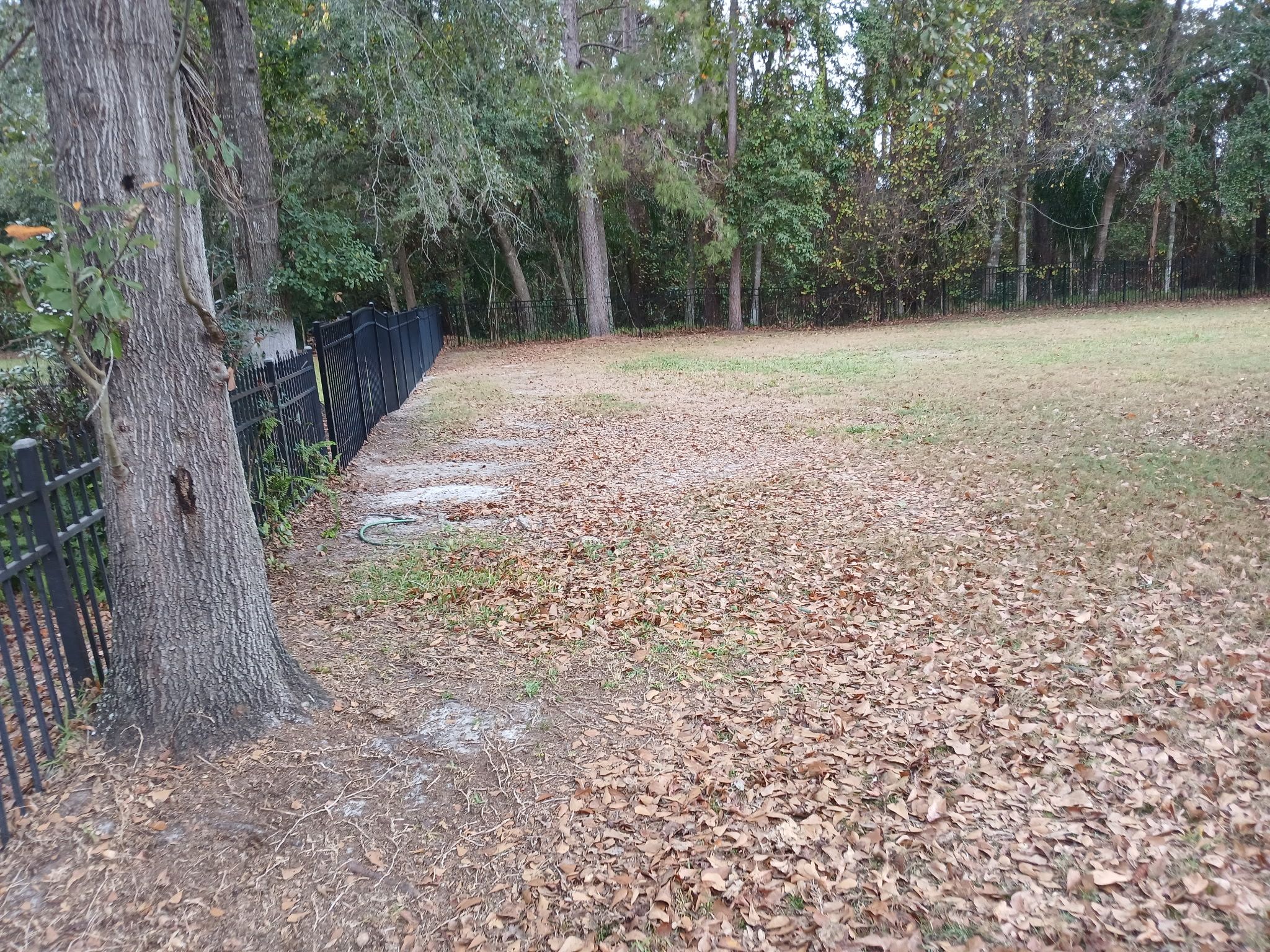  for Whole 9 Yards Services in Green Cove Springs, FL