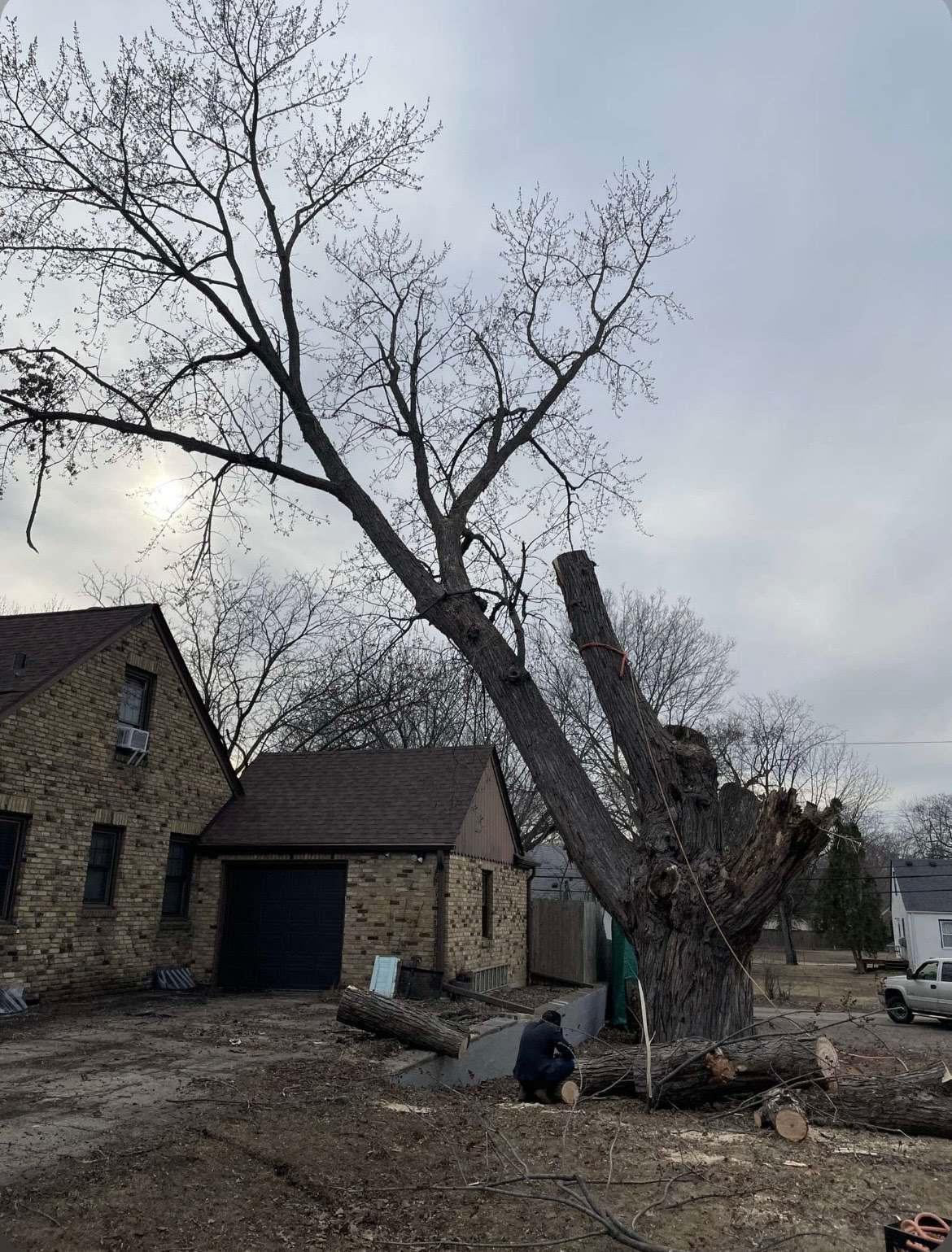 All Photos for K and Z Tree Care in Andover, MN