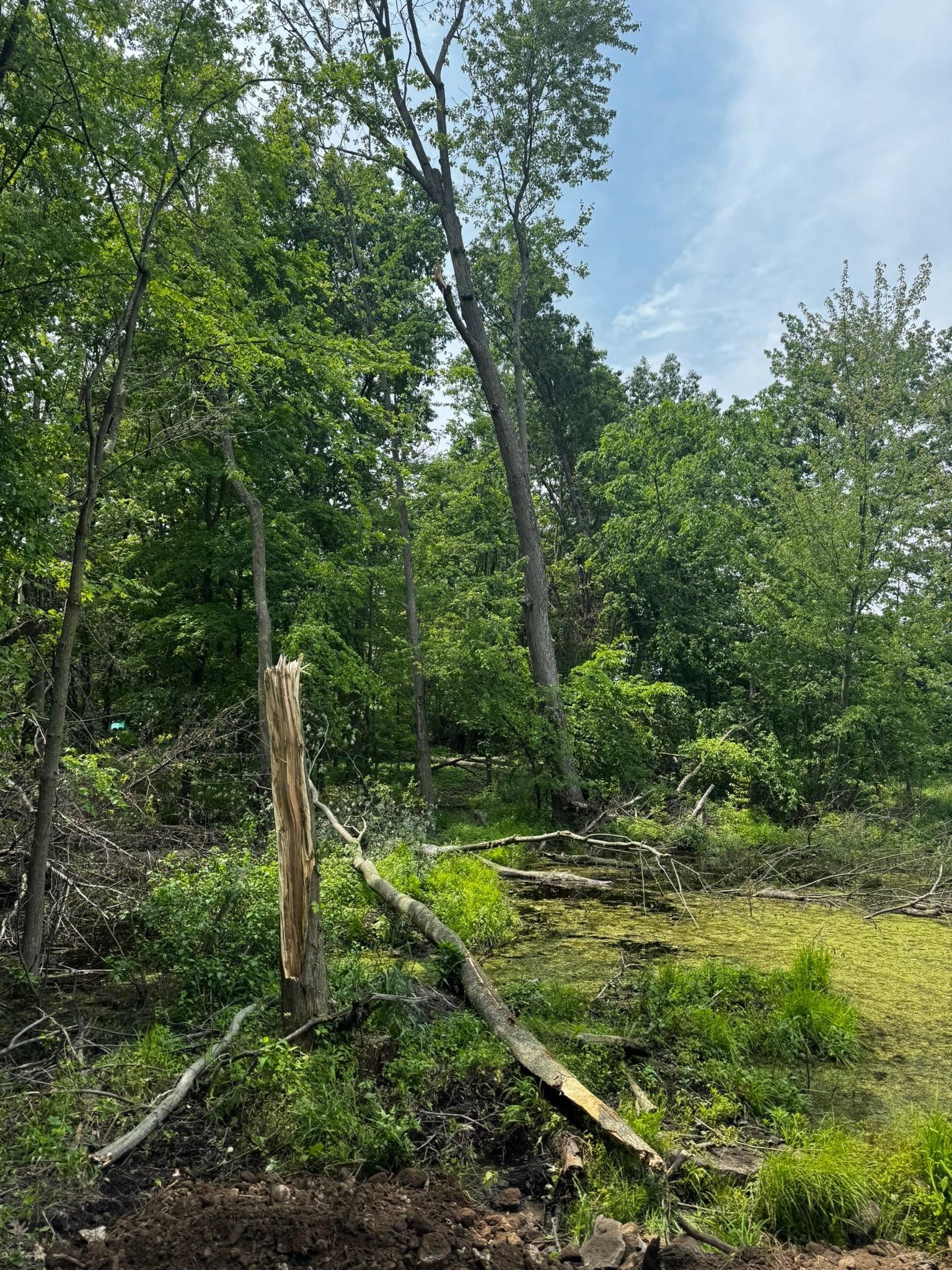All Photos for Accurate Excavating in Grand Rapids, MI