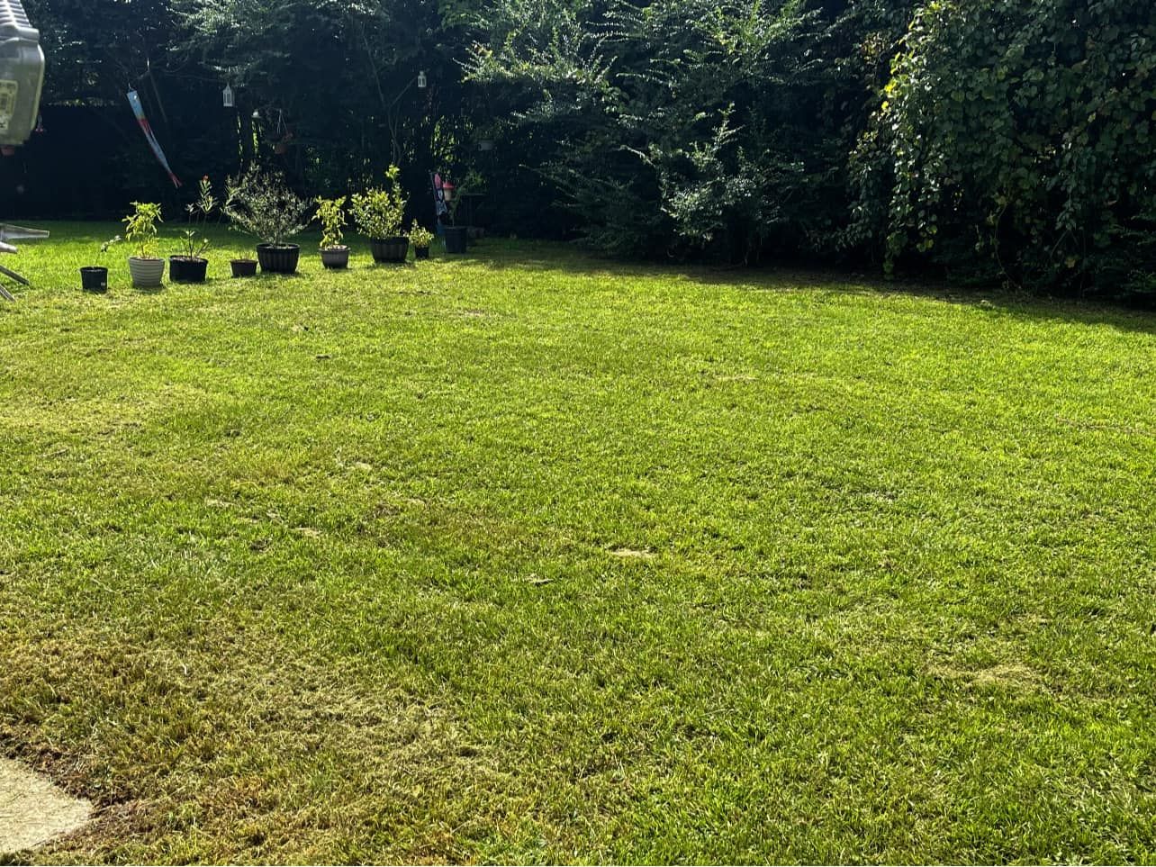  for Voilà Magic LawnCare Services in Jacksonville, NC