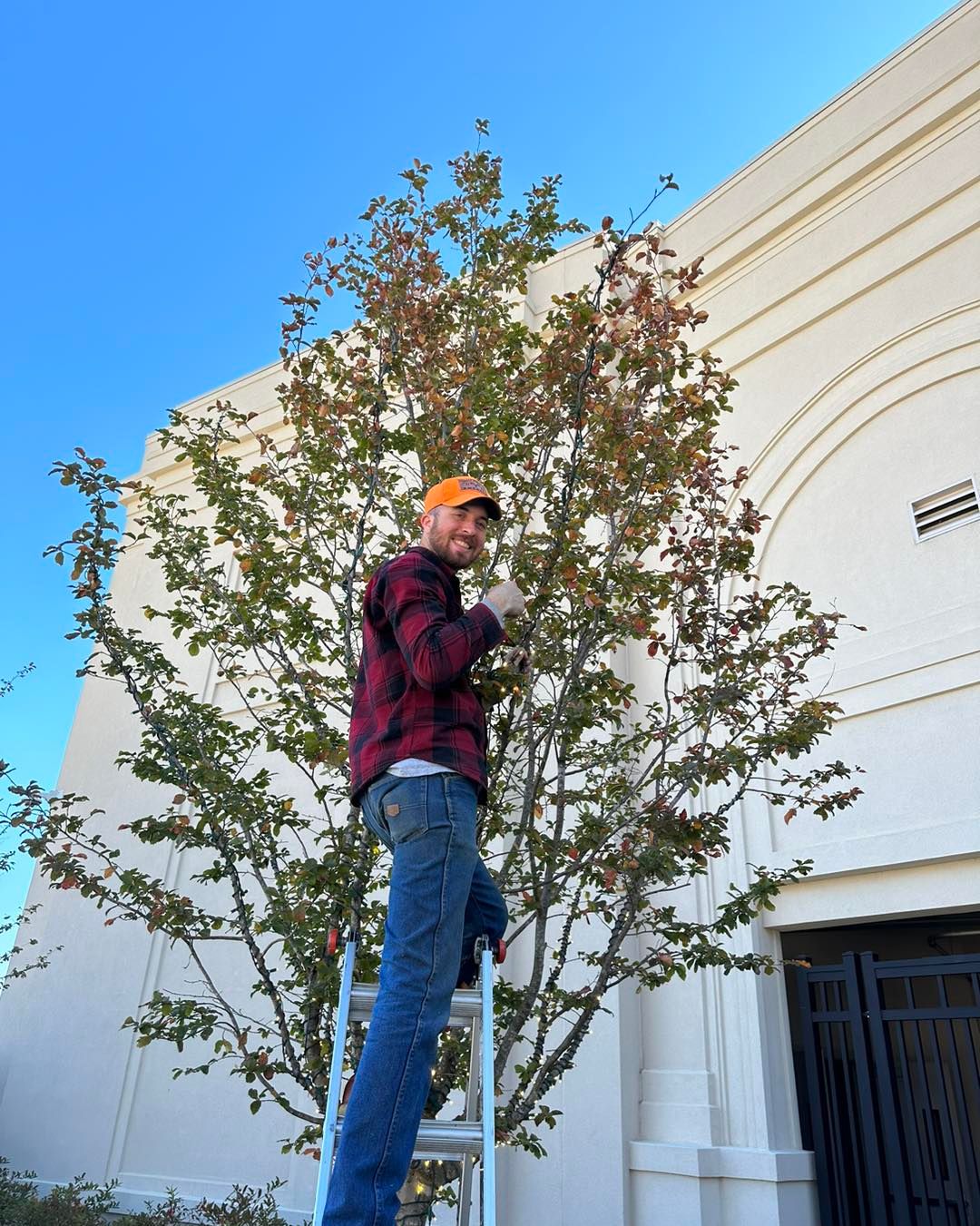  for Holiday Lighting Solutions in Huntsville, AL