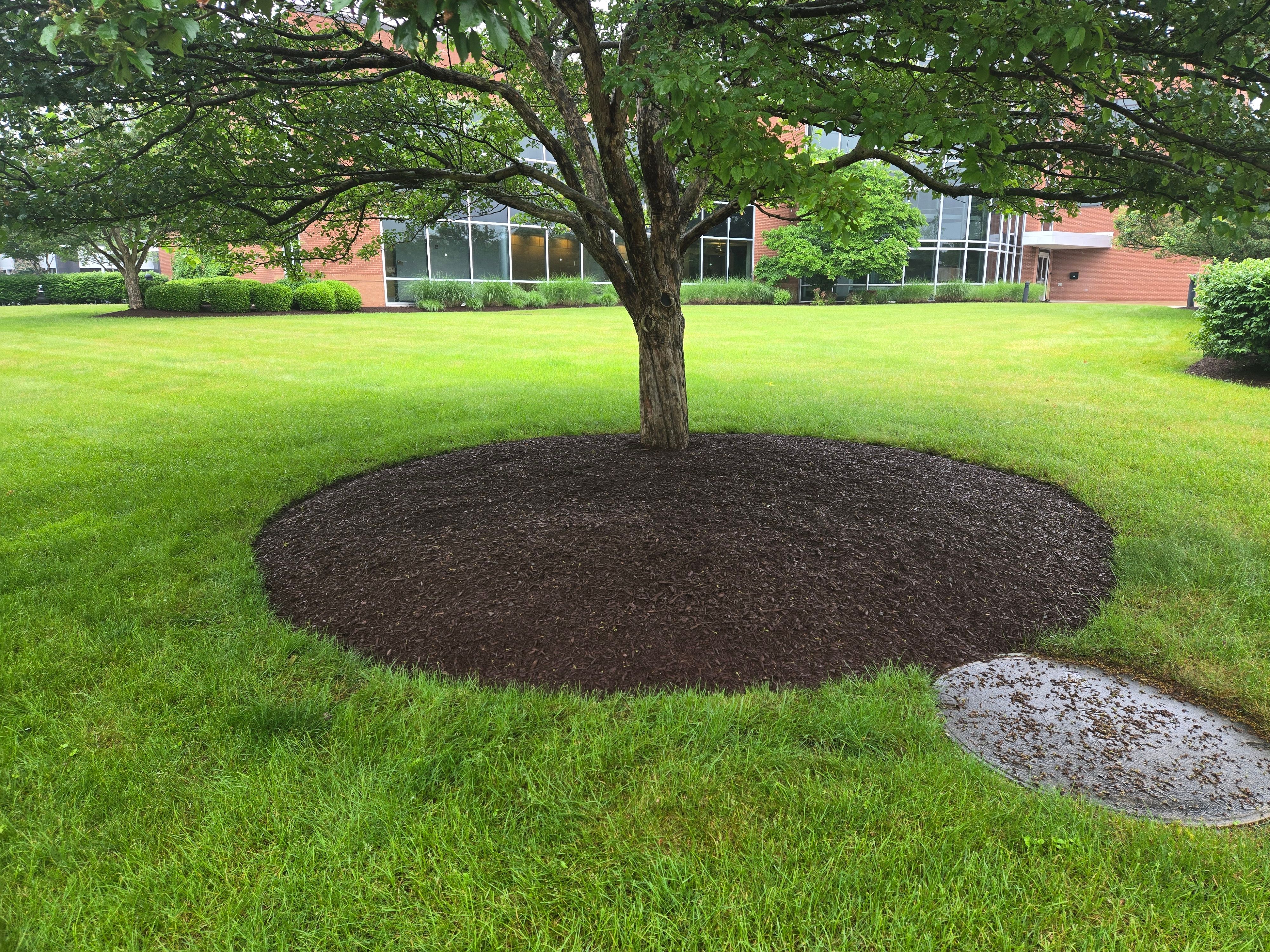  for Fancher's Lawns & Landscaping LLC in Schoharie County, NY