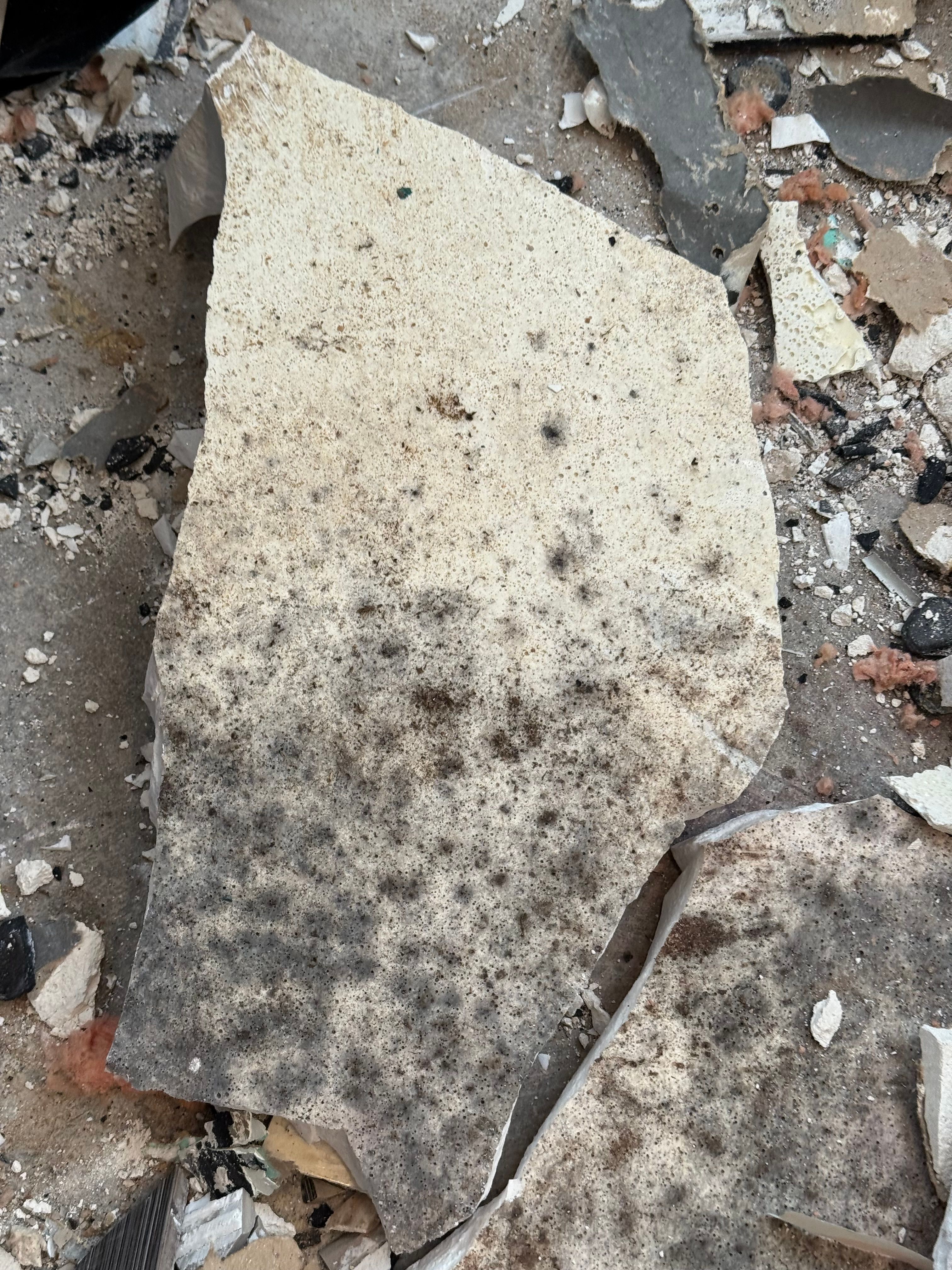  for N&D Restoration Services When Disaster Strikes, We Come In in Cape Coral,  FL