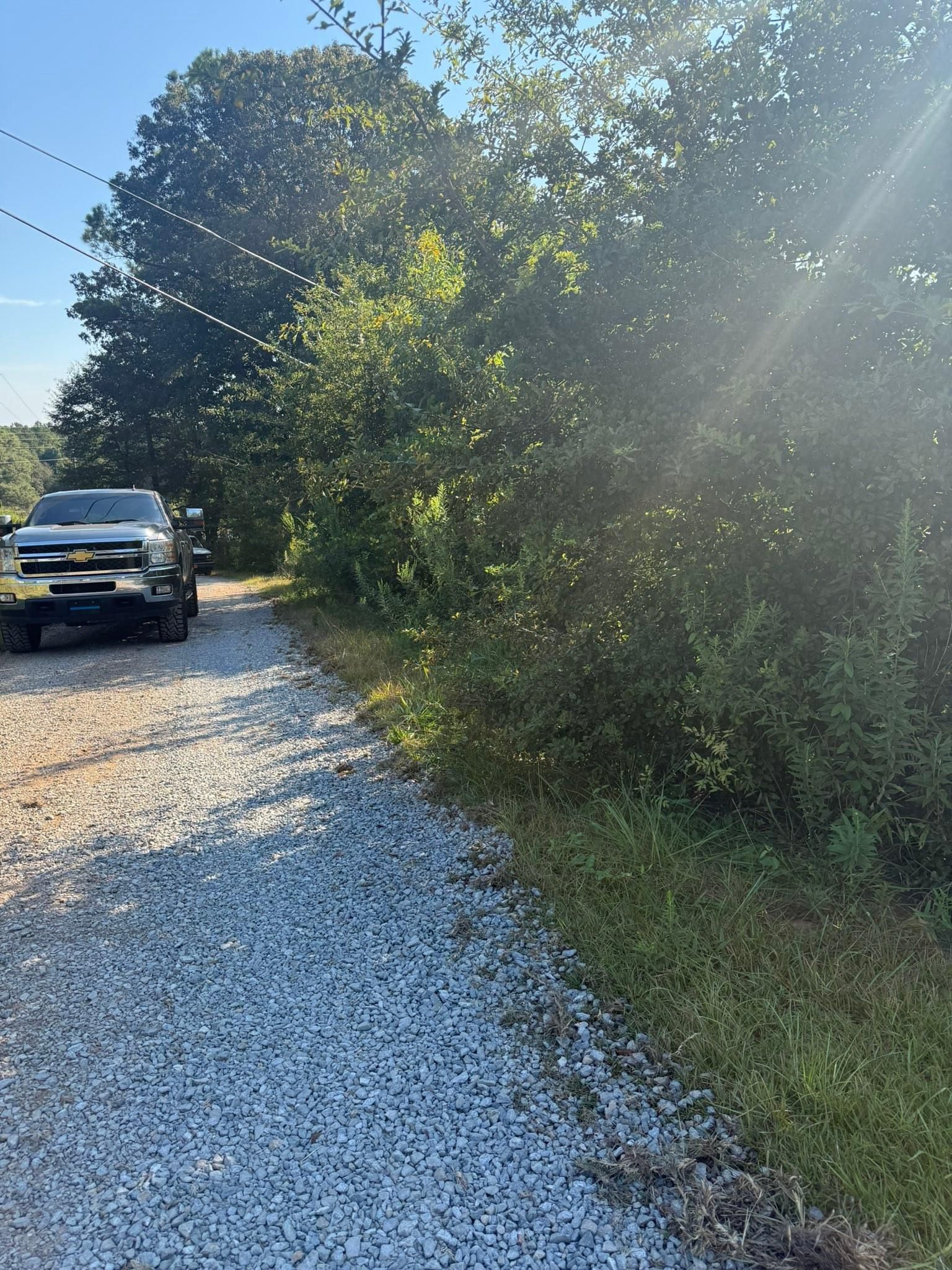  for Greenwood Lawn & Landscaping LLC in Talladega, Alabama