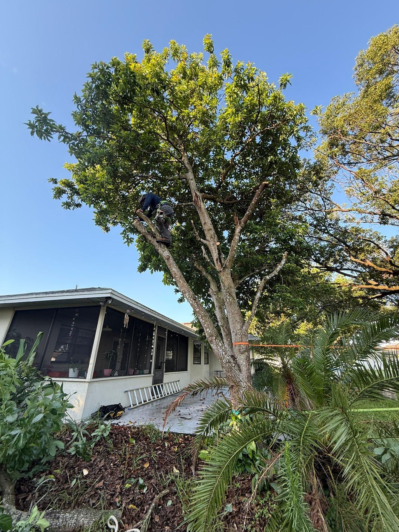  for New Era Lawn Care & Landscaping in Lakeland,  FL
