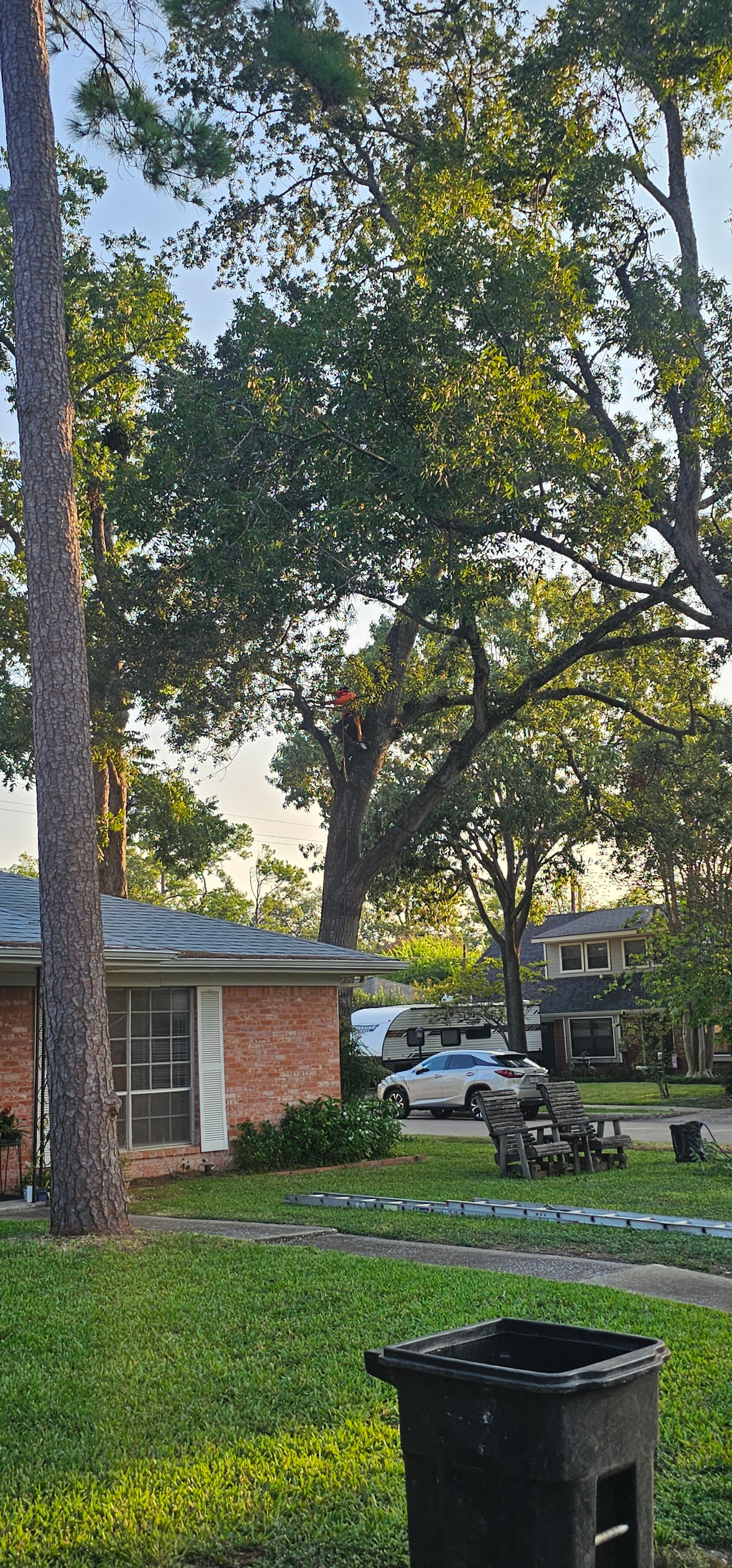  for Servin's Tree Care  in Houston, TX