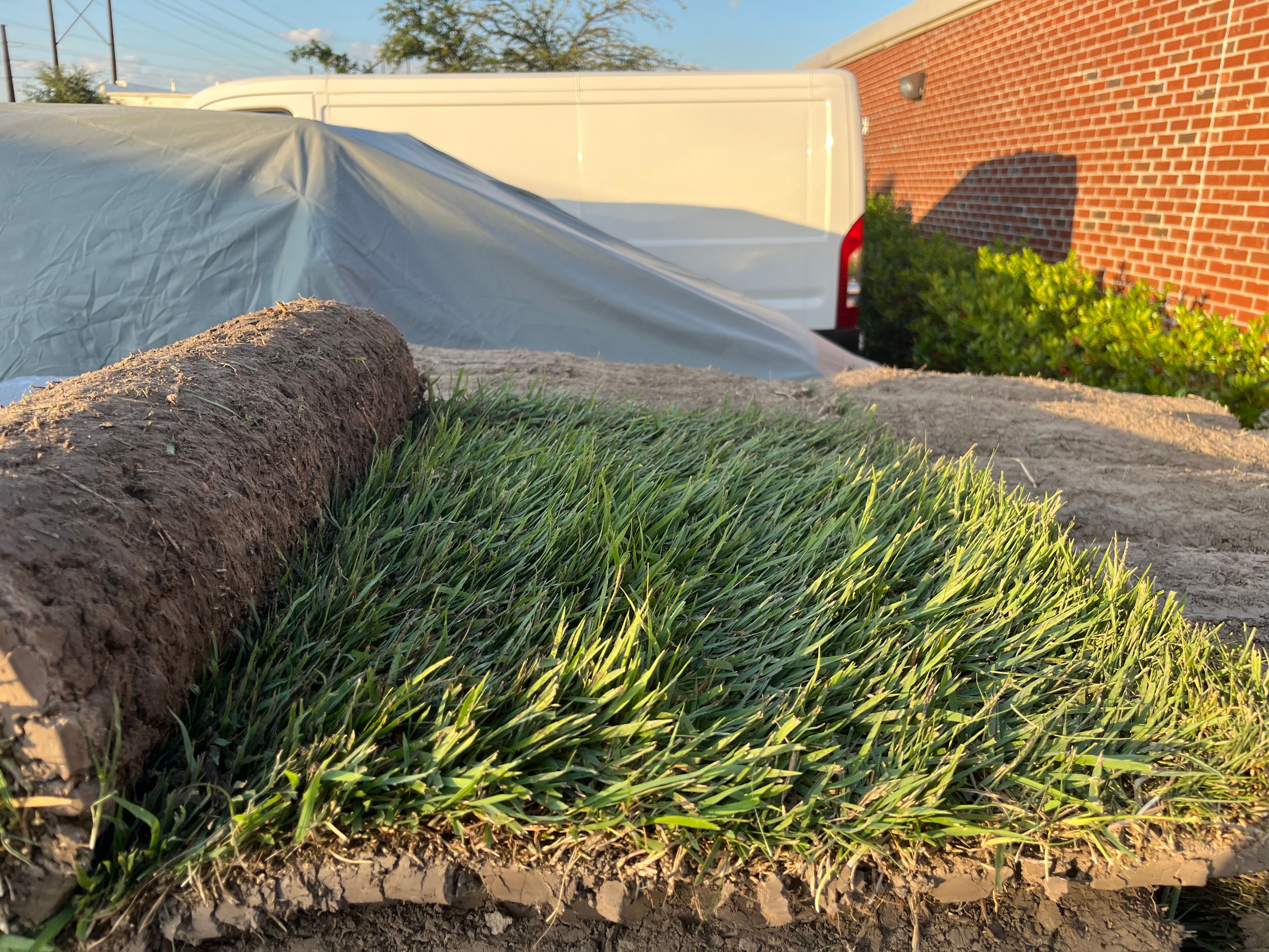  for New Creation Lawn and Landscape in Myrtle Beach, SC