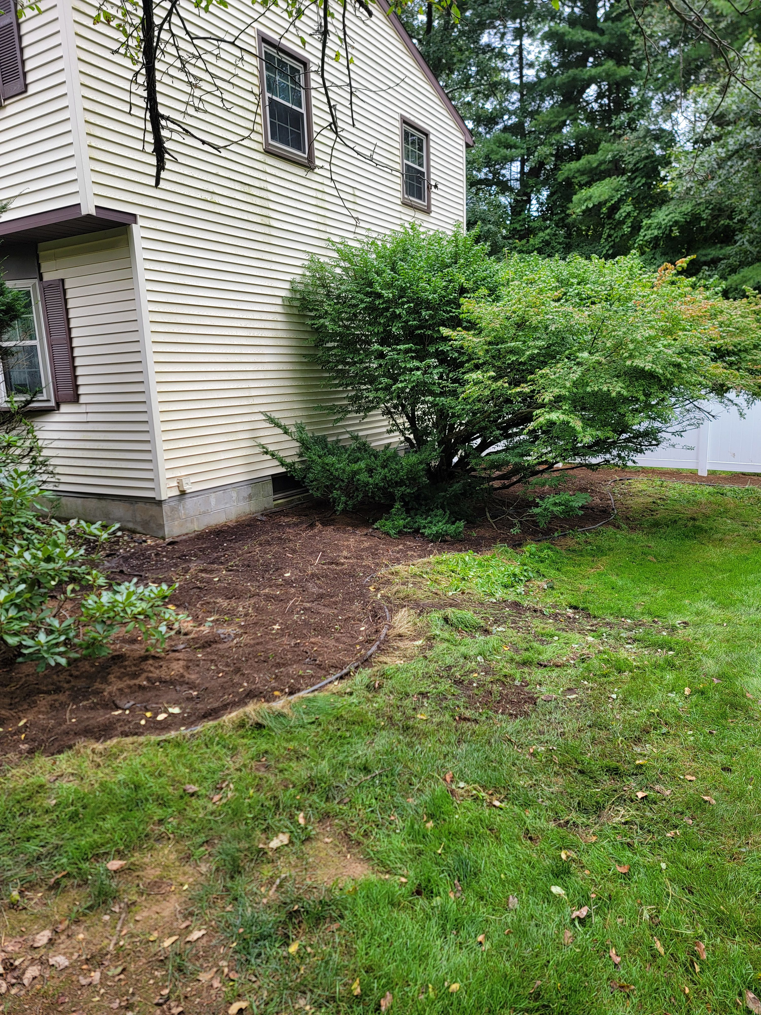  for Sweet Scapes in Ballston Spa, NY