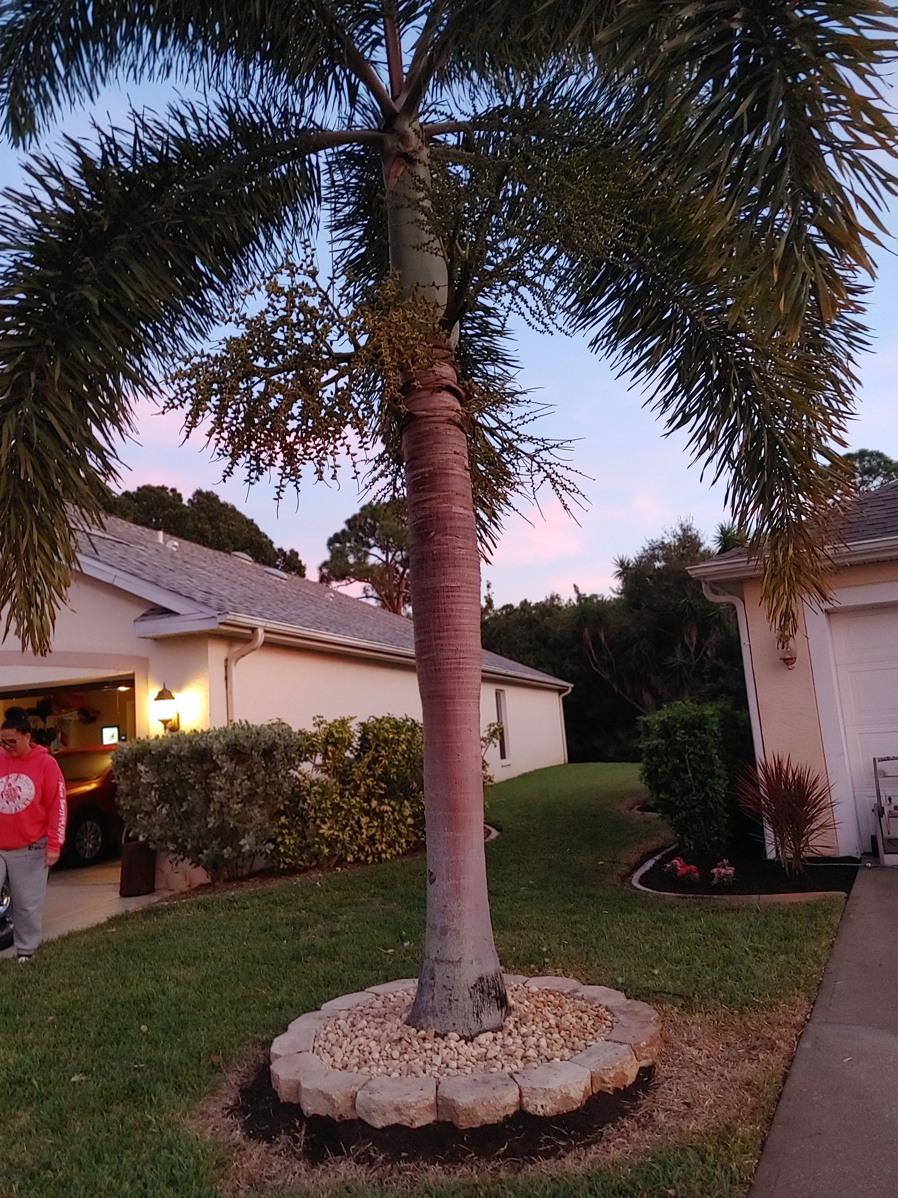  for Epic Vine Design in Melbourne, FL