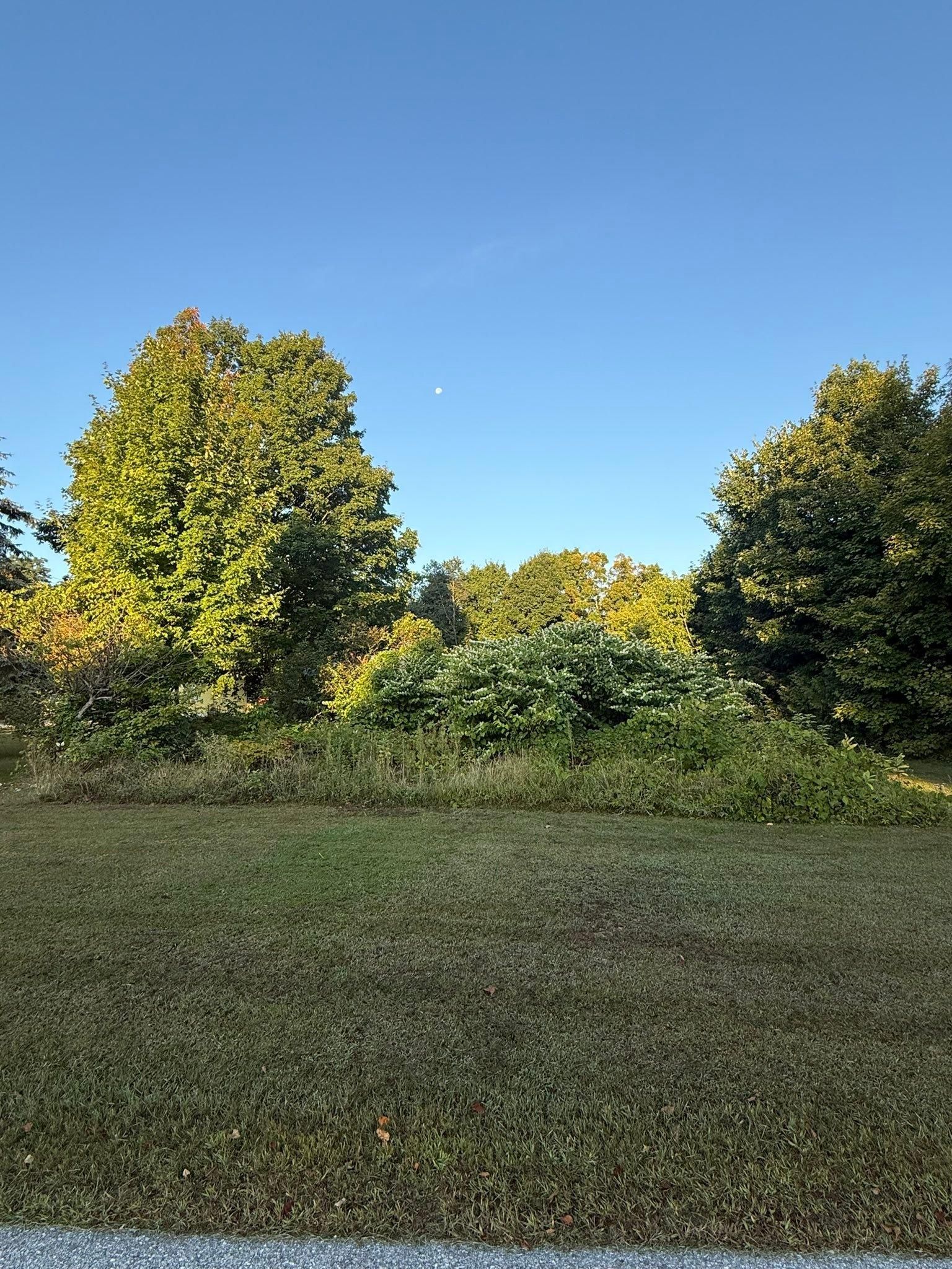 All Photos for Bishop’s Property Maintenance in Franklin, VT