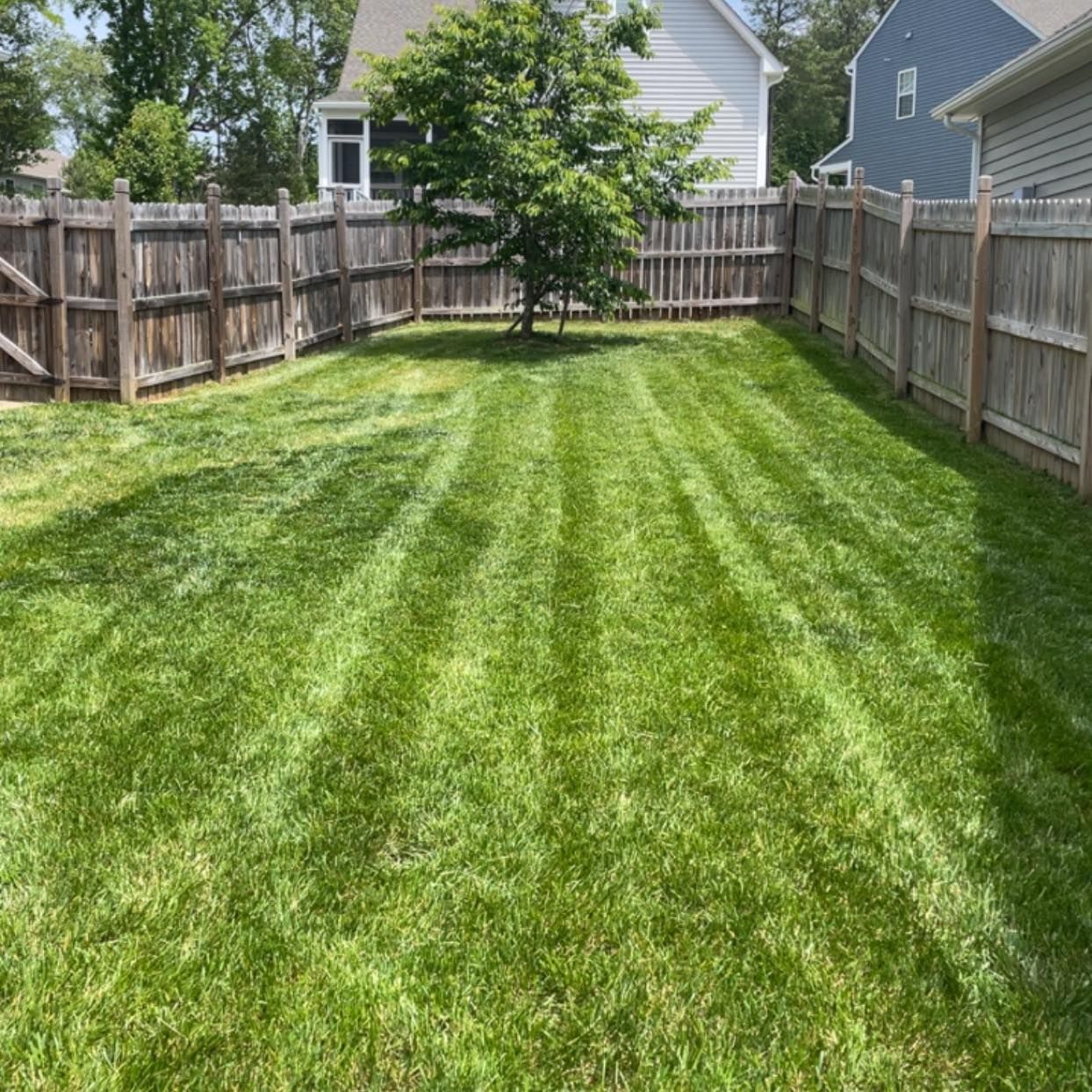 All Photos for C + C Landscaping in Chesterfield, VA