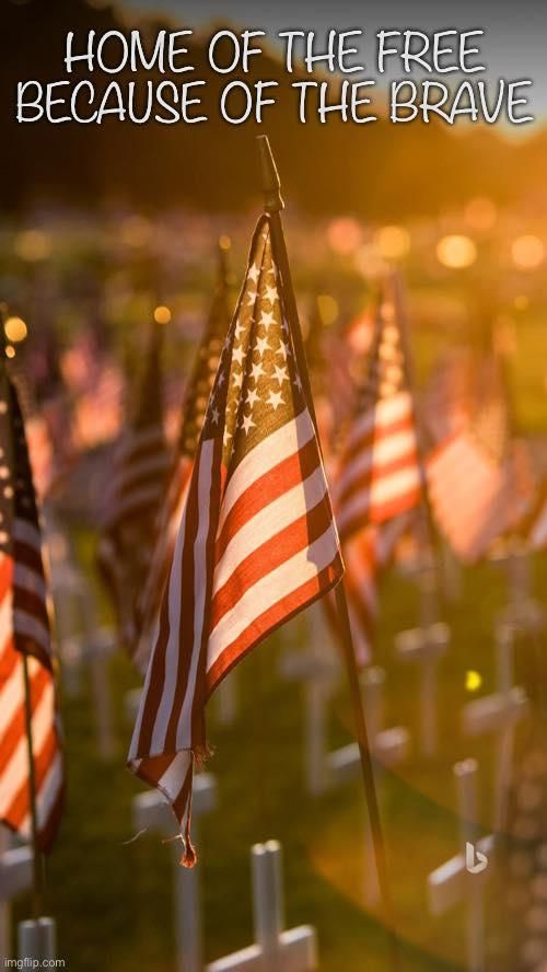  for Advanced Landscaping Solutions LLC in Fort Myers, FL