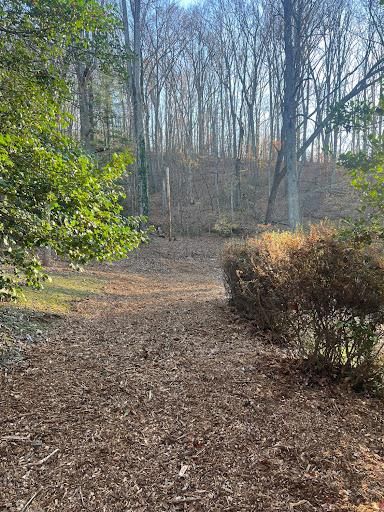  for Ground To Sky Tree Care in Asheville, North Carolina