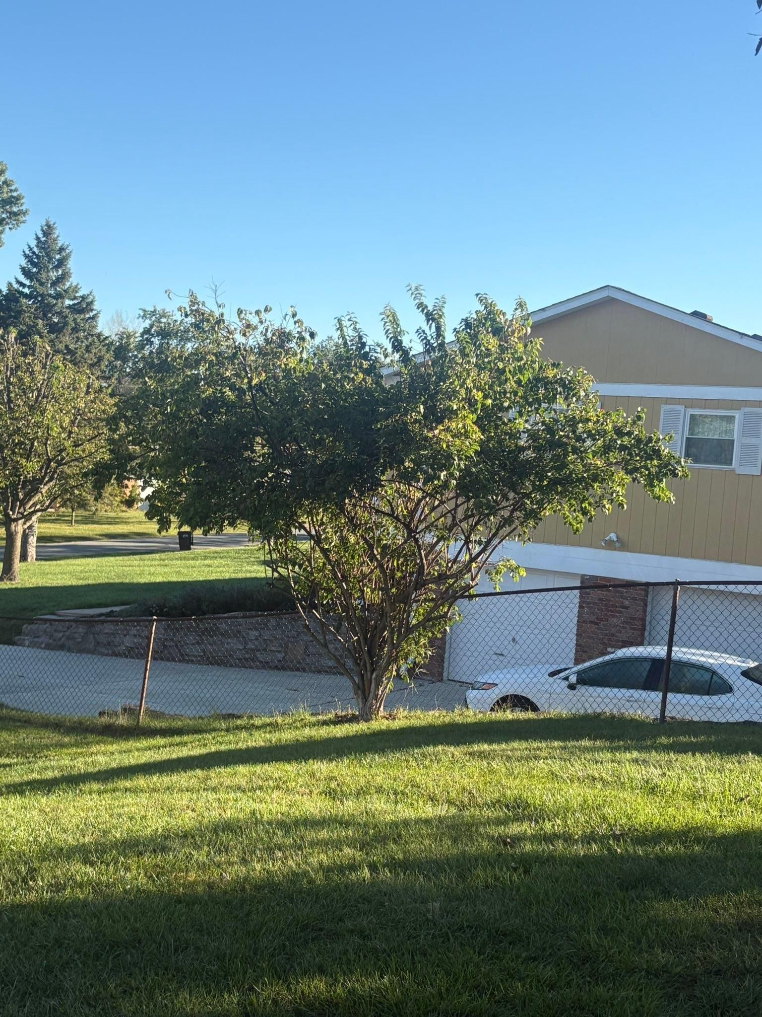  for Dig-It Tree Company in , 
