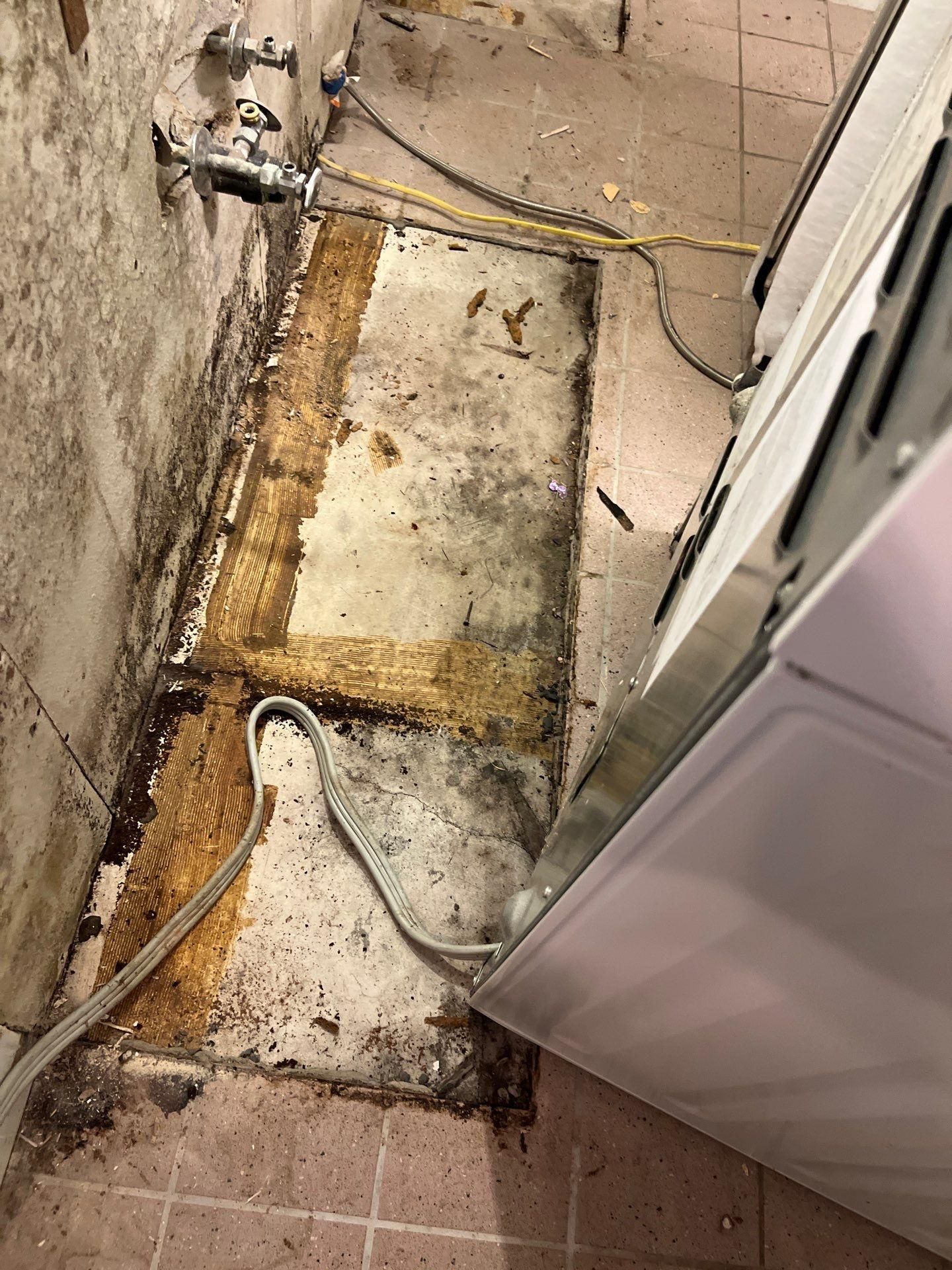 All Photos for No Fear Restoration in Port Angeles, WA