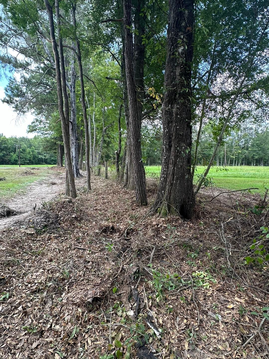  for River Rooted Construction in Loranger, LA