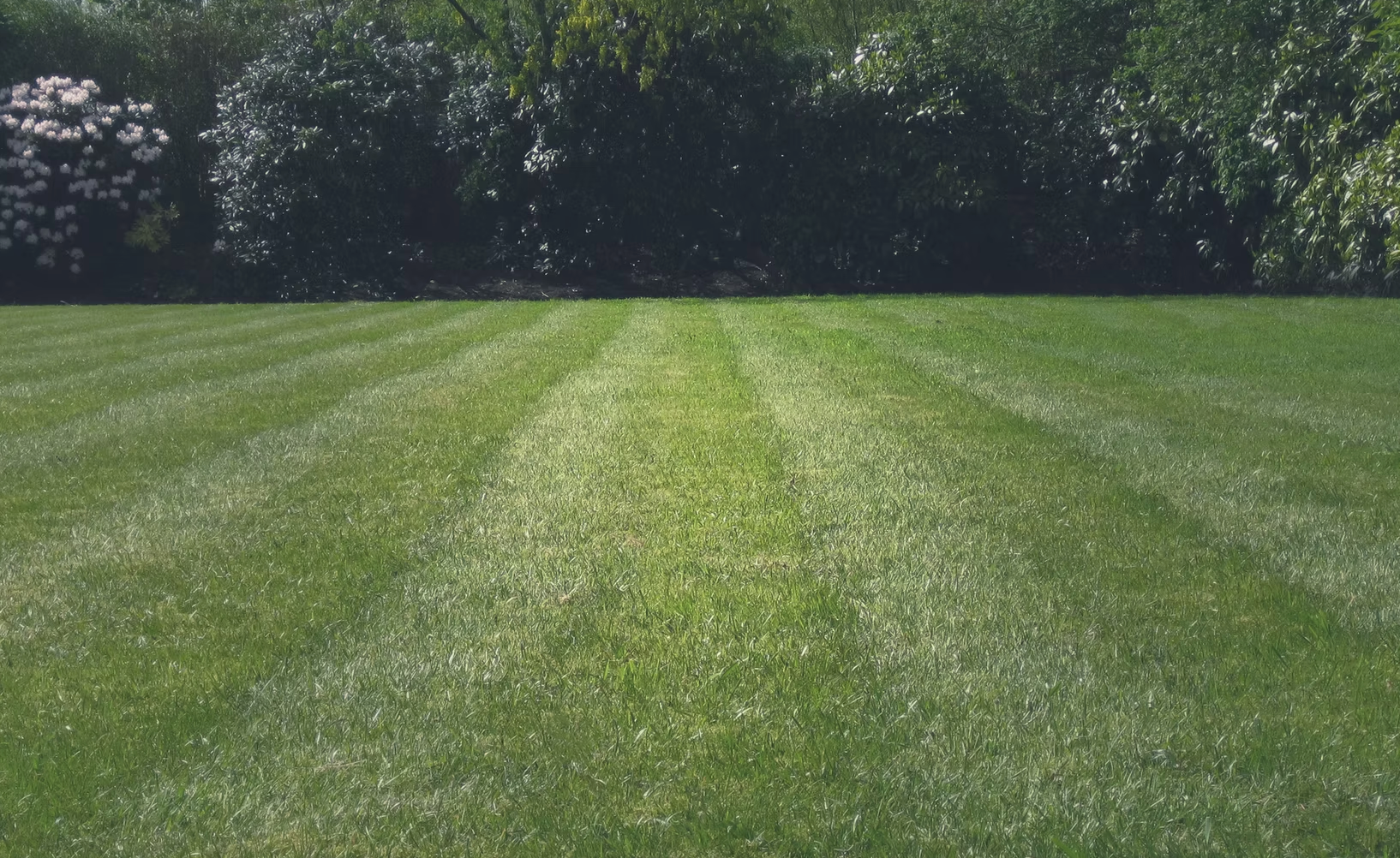 Landscaping for Bros With A Cause in Cumming, GA