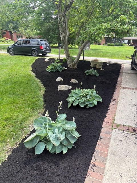  for Red Beard Lawn Care in Chillicothe, OH