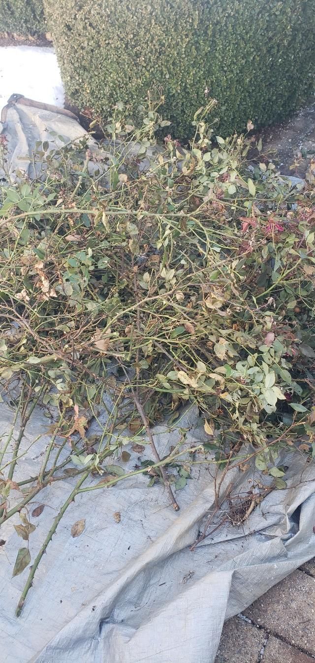 All Photos for Clean Cut Lawns & Landscaping in Dickerson, MD