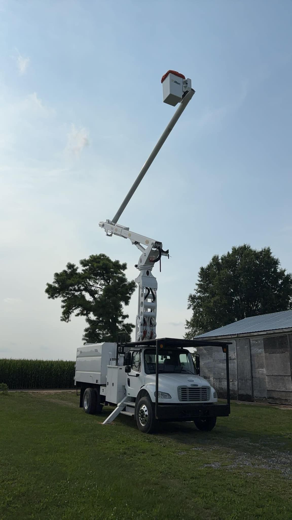 Tree Removal for Melnyk’s Tree Service in Salem County, NJ