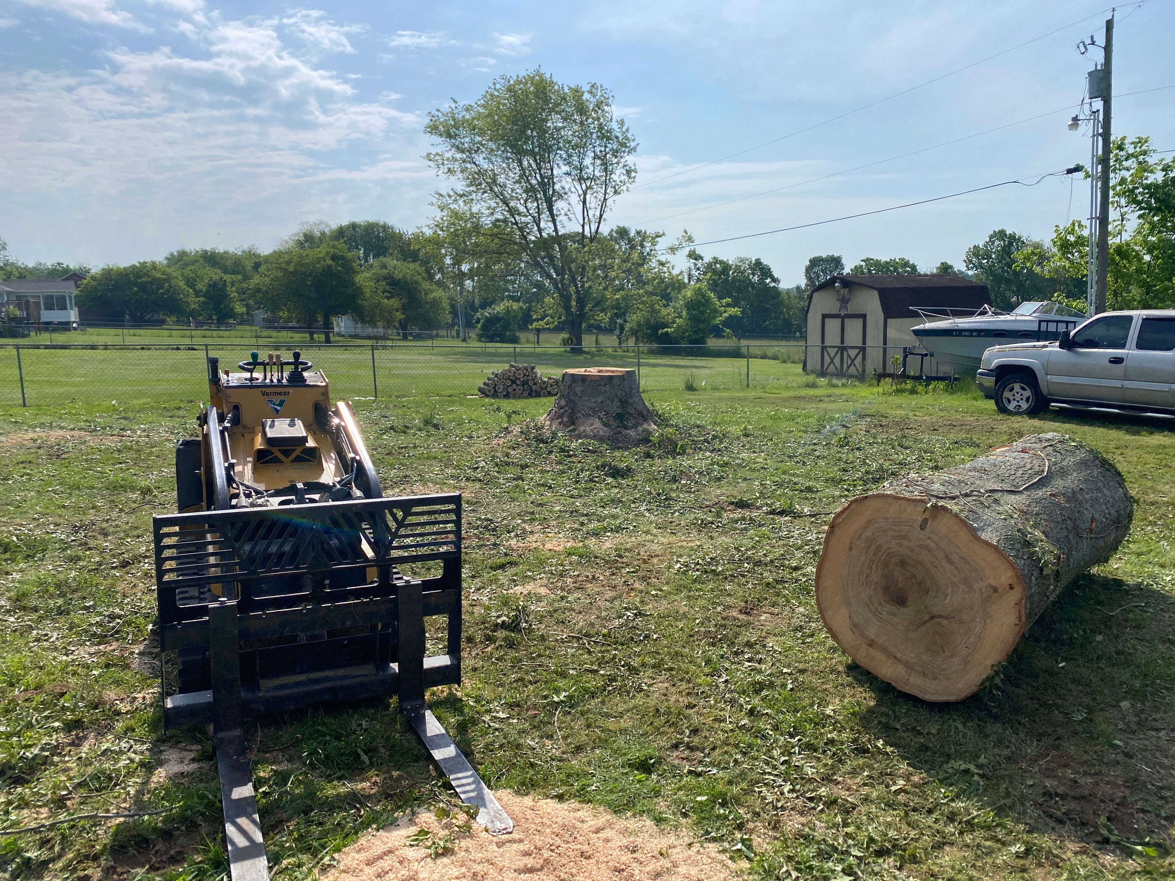 All Photos for Houtz Tree Service in Lexington, KY