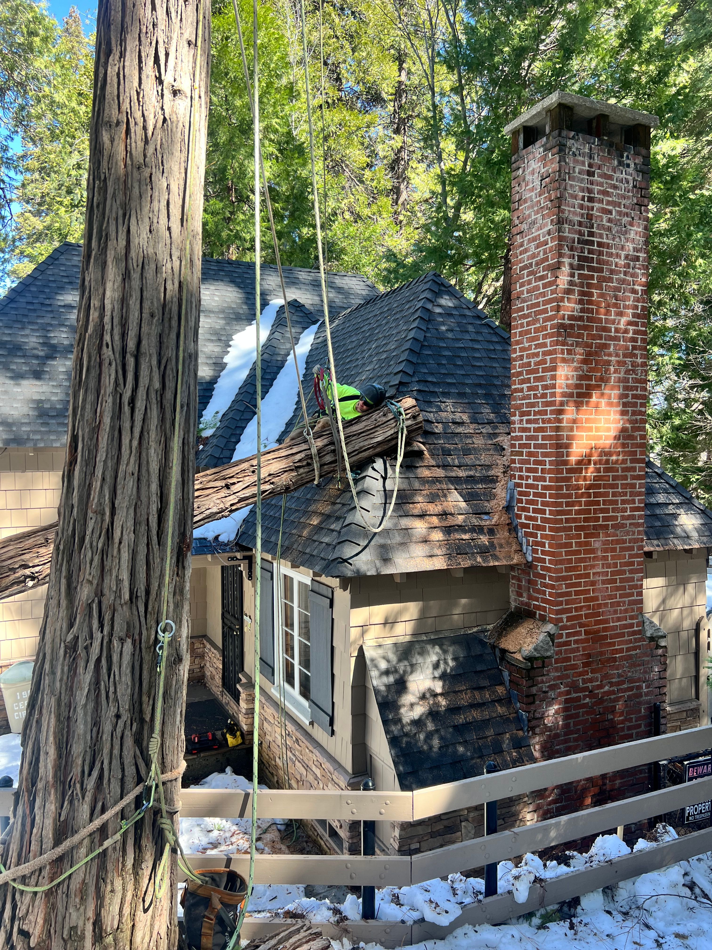  for Poseidon Valley Tree Service Corp in San Bernardino, CA