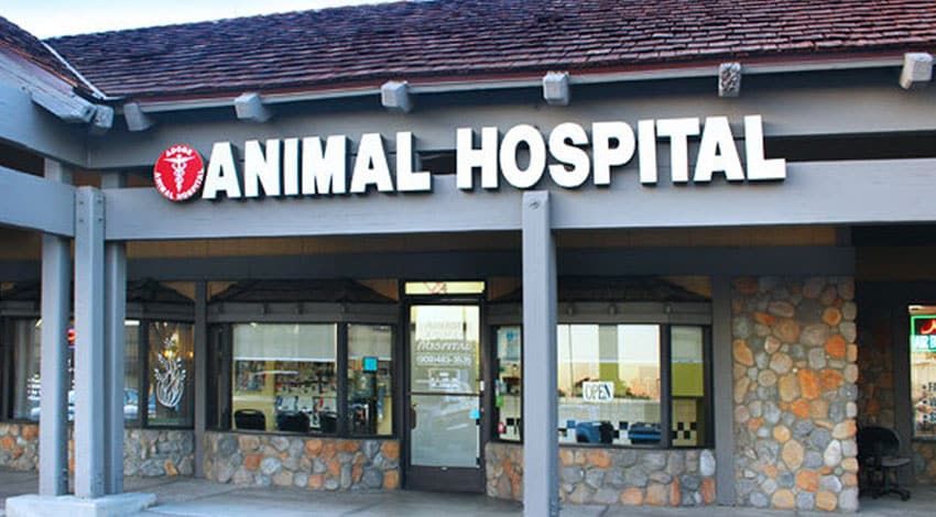  for S&T Plumbing LLC in Pittsburgh, PA