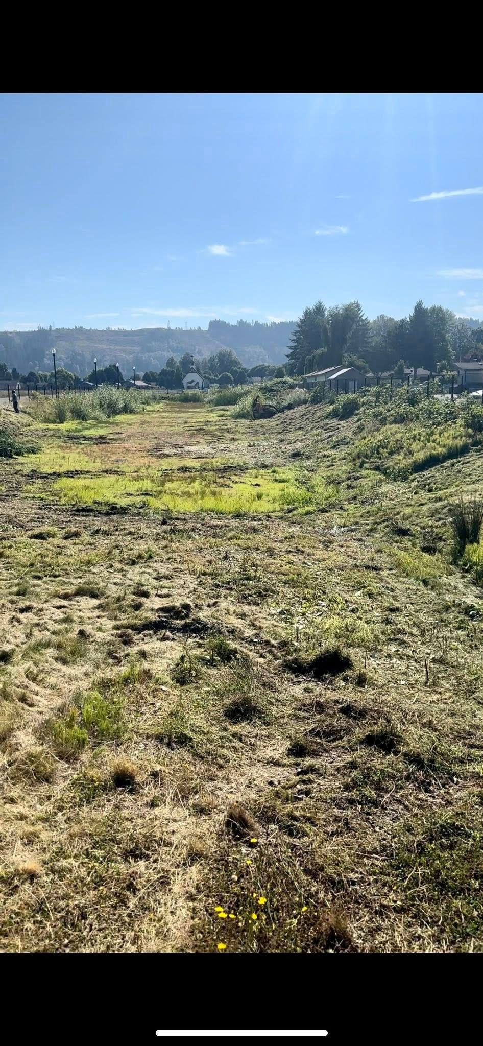  for Wilderness Stump Grinding in Orting, WA