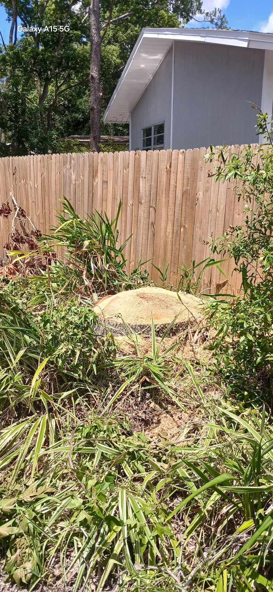  for A Southern Style Tree Service in Orlando, FL