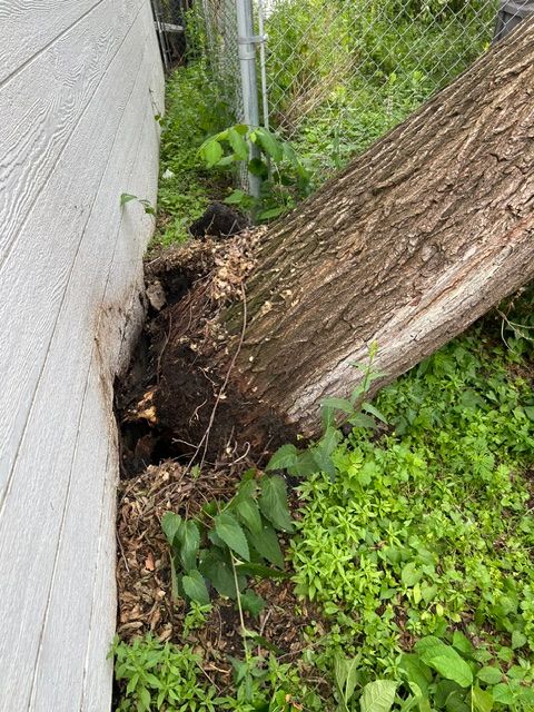 All Photos for Allstate Tree Service and Crane in Spring Lake Park, MN