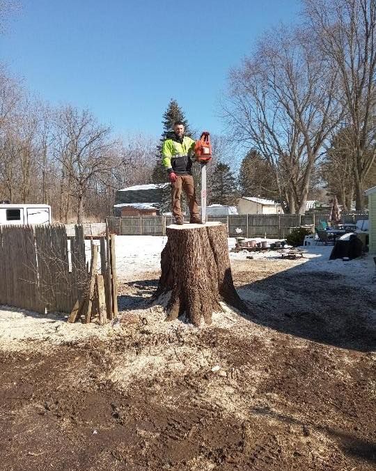  for The Bucking Arborists in Flint, MI
